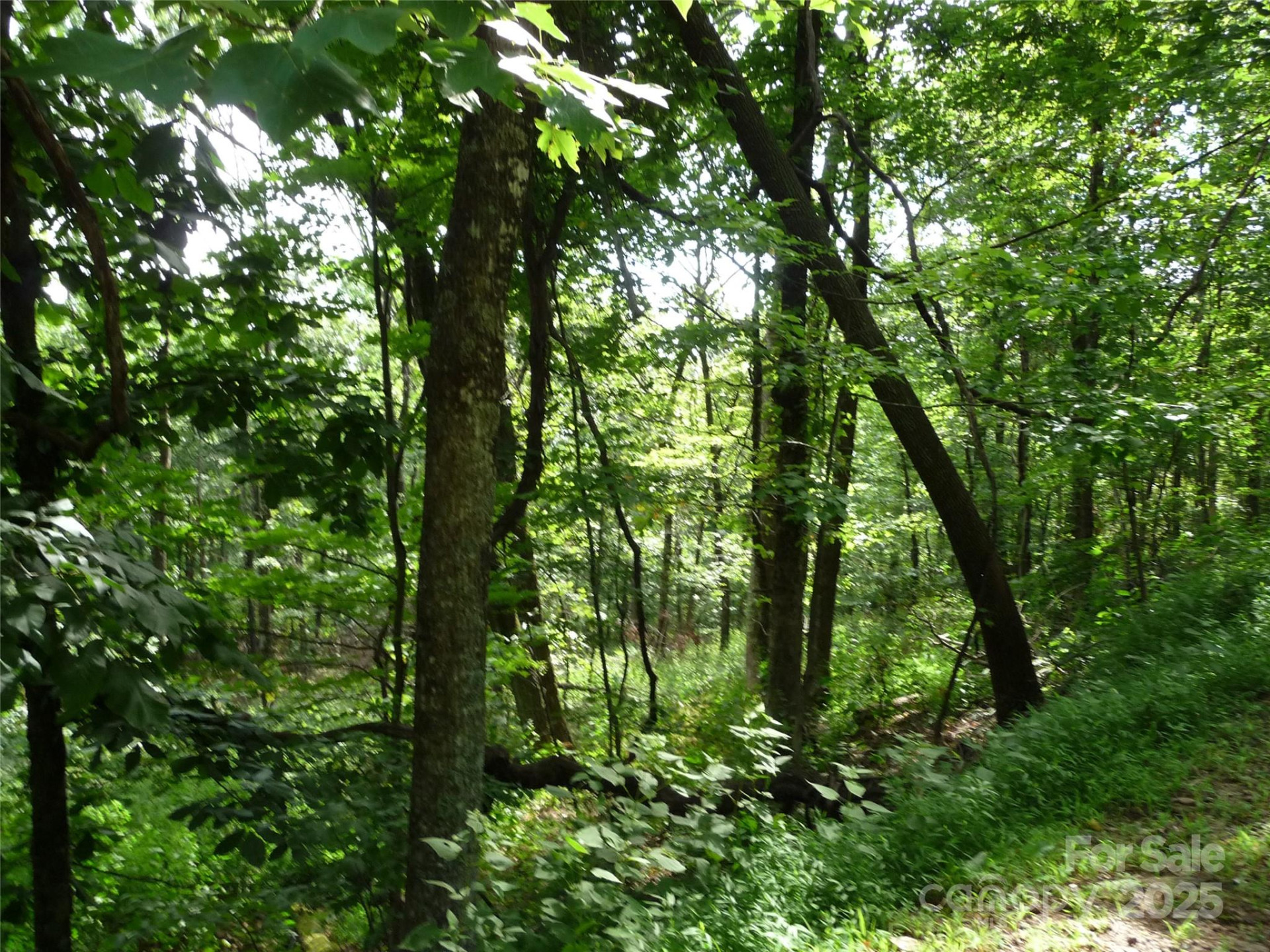 Lot 12 Sunset Ridge Drive #Lot 12 - Photo 2