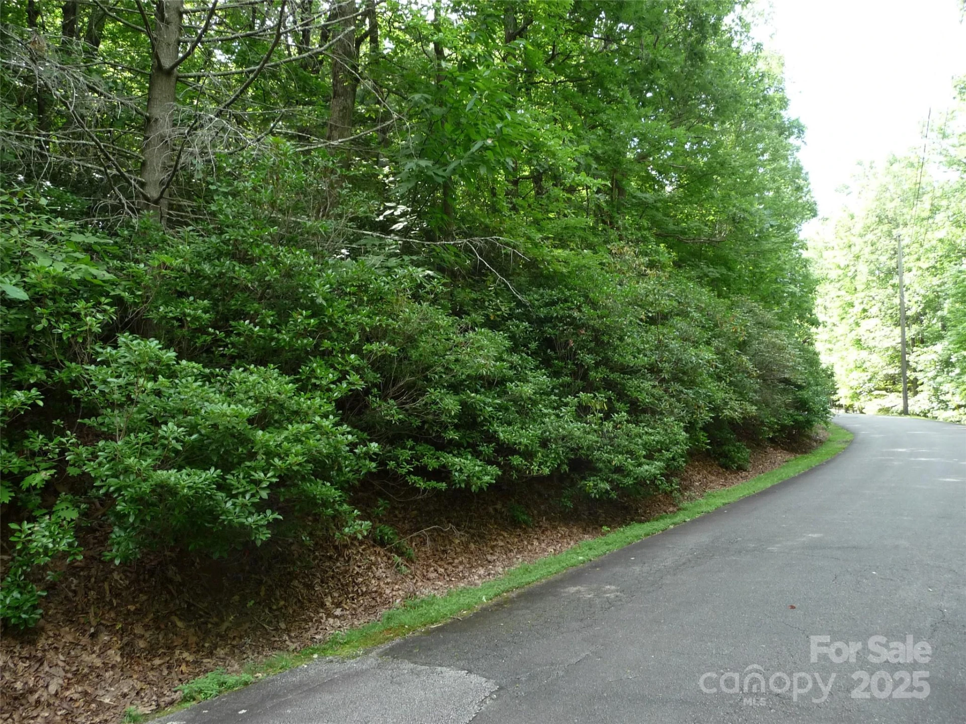 Lot 70 Serpentine Drive #Lot 70 - Photo 4
