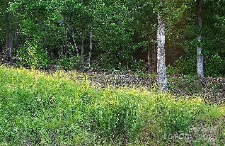 V/L Ridge Point Road #19 - Photo 17