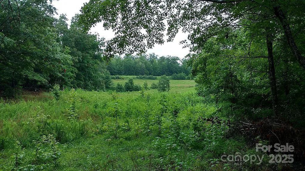 V/L Ridge Point Road #19 - Photo 19