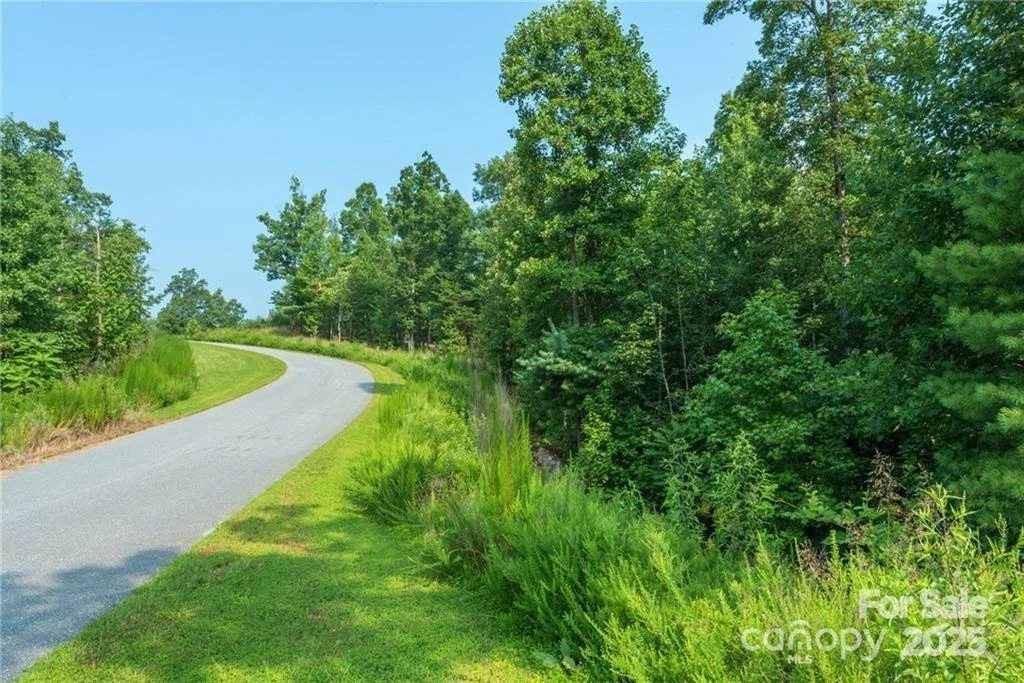 V/L Ridge Point Road #19 - Photo 4