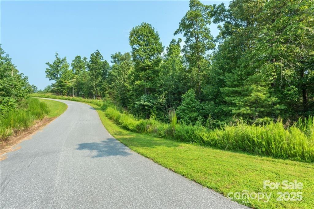 V/L Ridge Point Road #19 - Photo 5