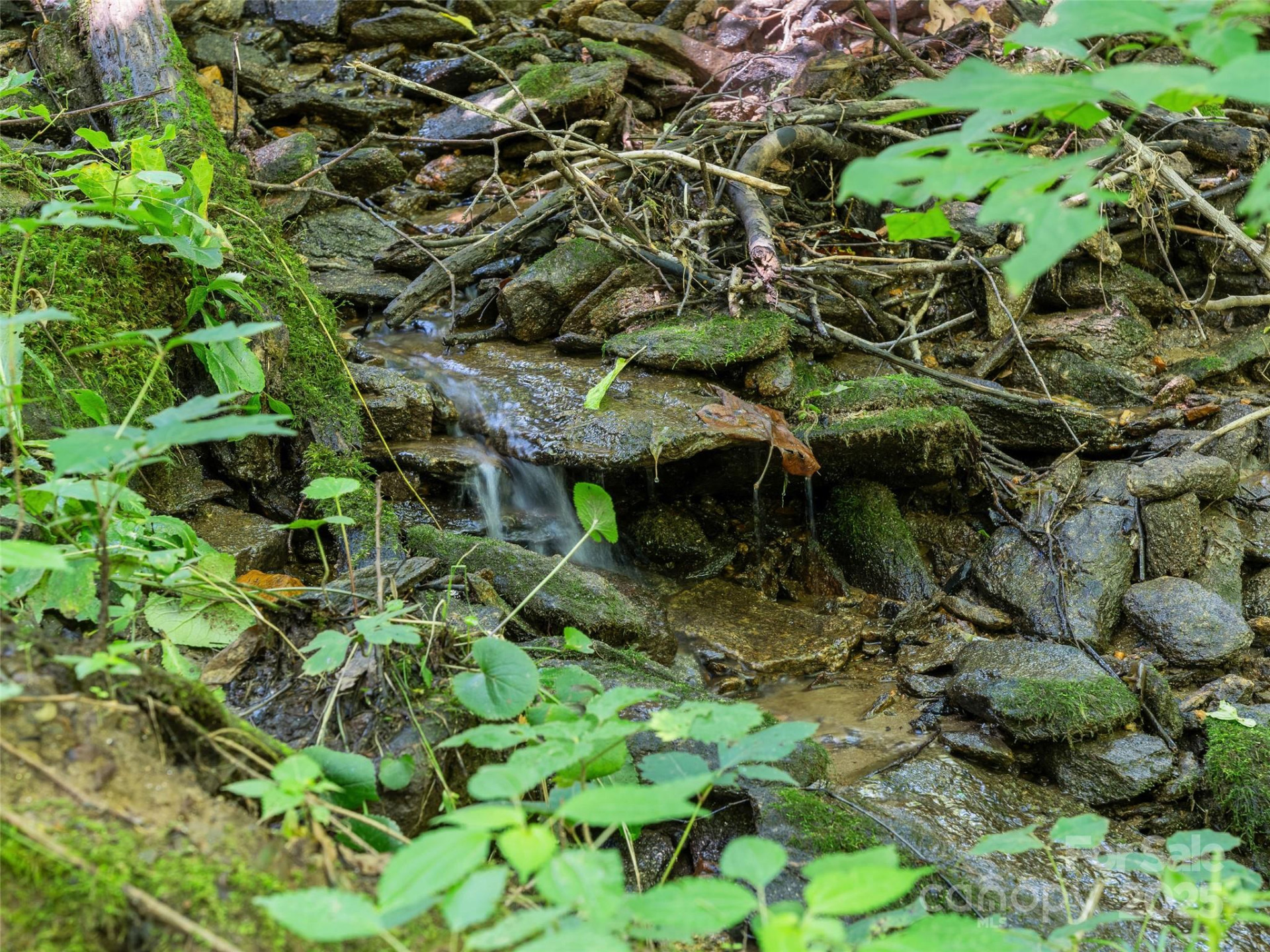 Lot 69 Falling Glen Drive #69 - Photo 11