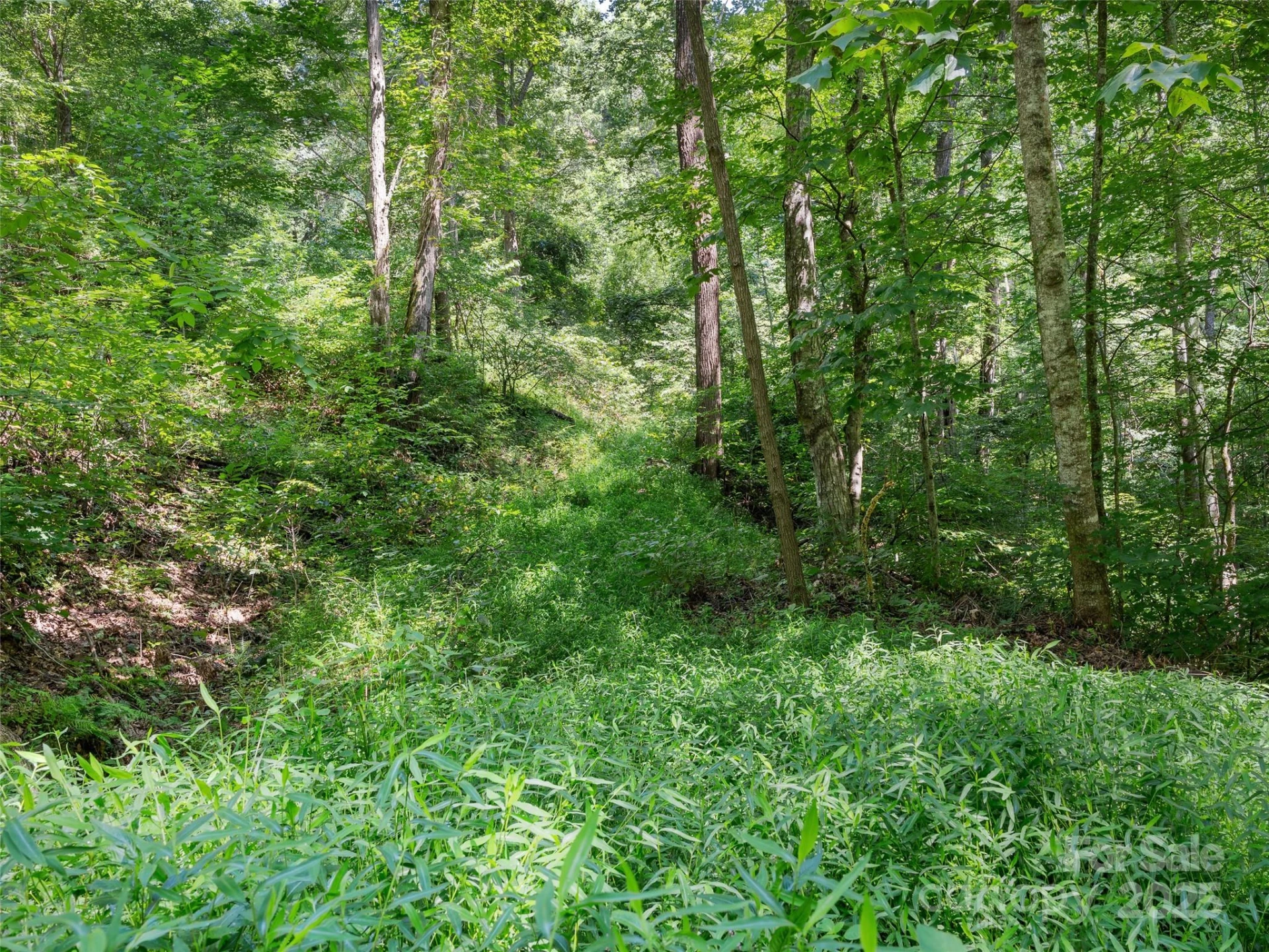 Lot 69 Falling Glen Drive #69 - Photo 13