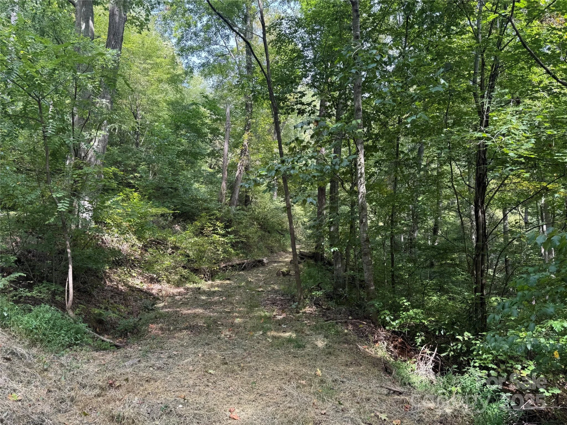 Lot 69 Falling Glen Drive #69 - Photo 14