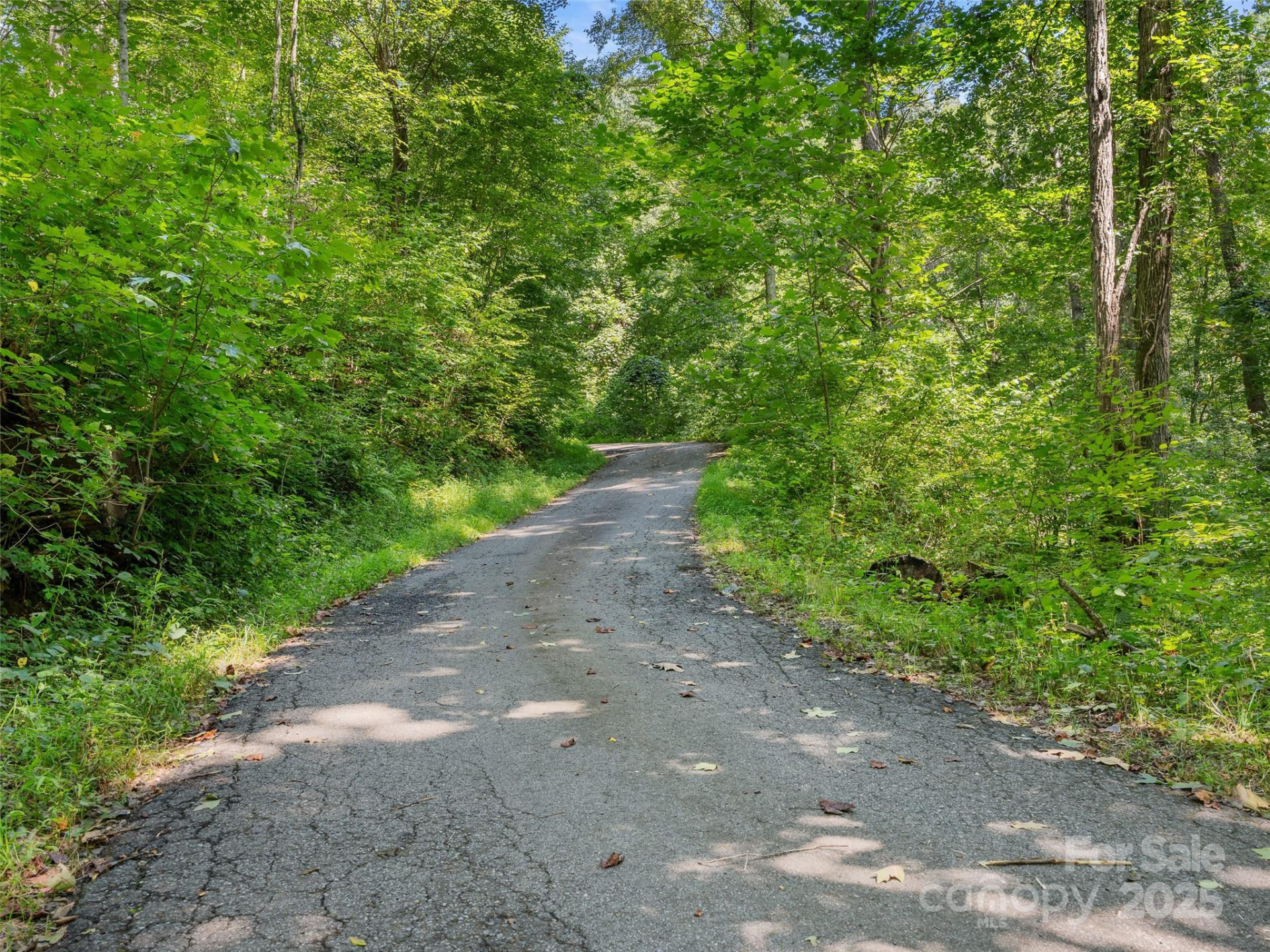 Lot 69 Falling Glen Drive #69 - Photo 4