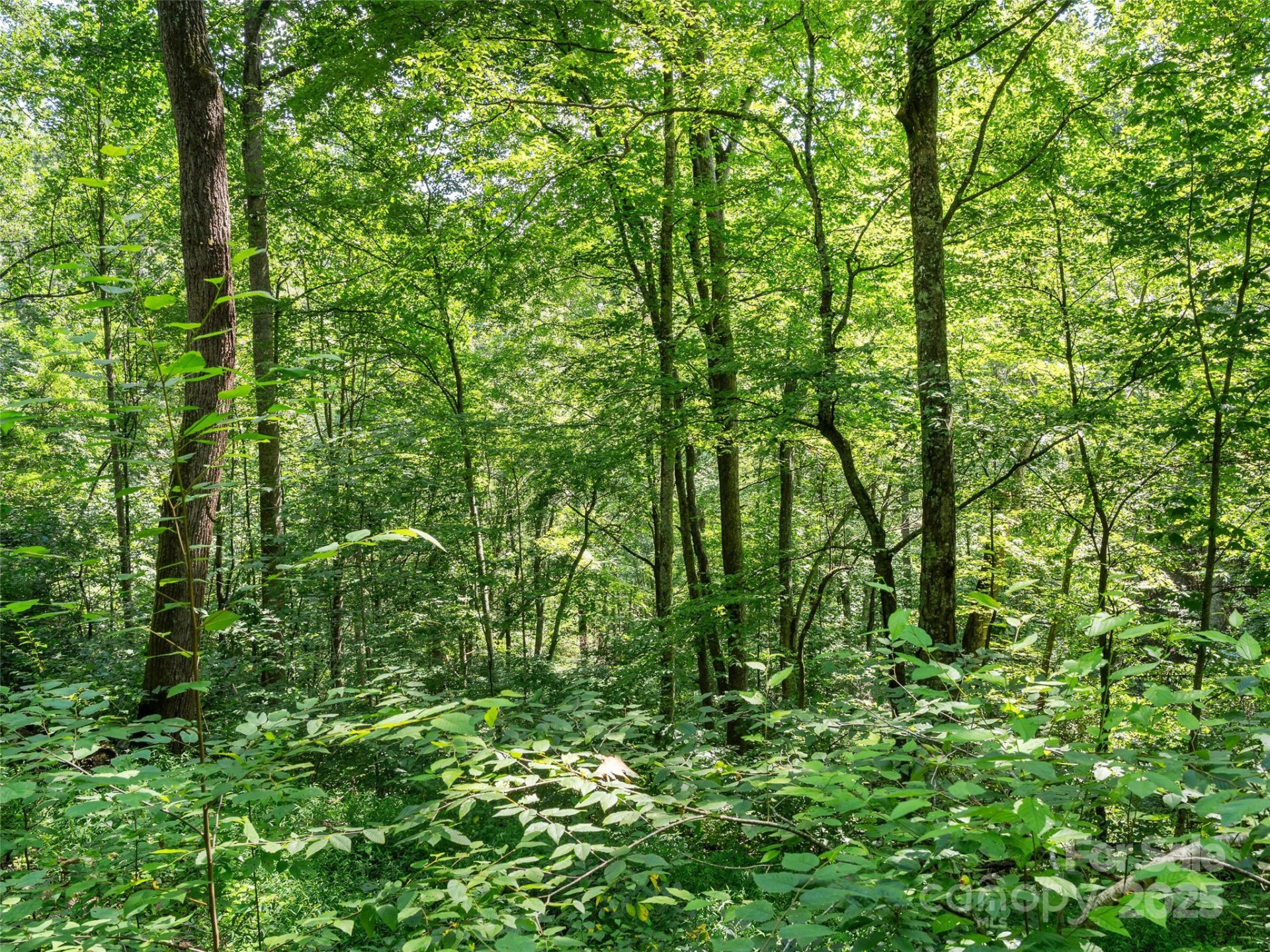 Lot 69 Falling Glen Drive #69 - Photo 8