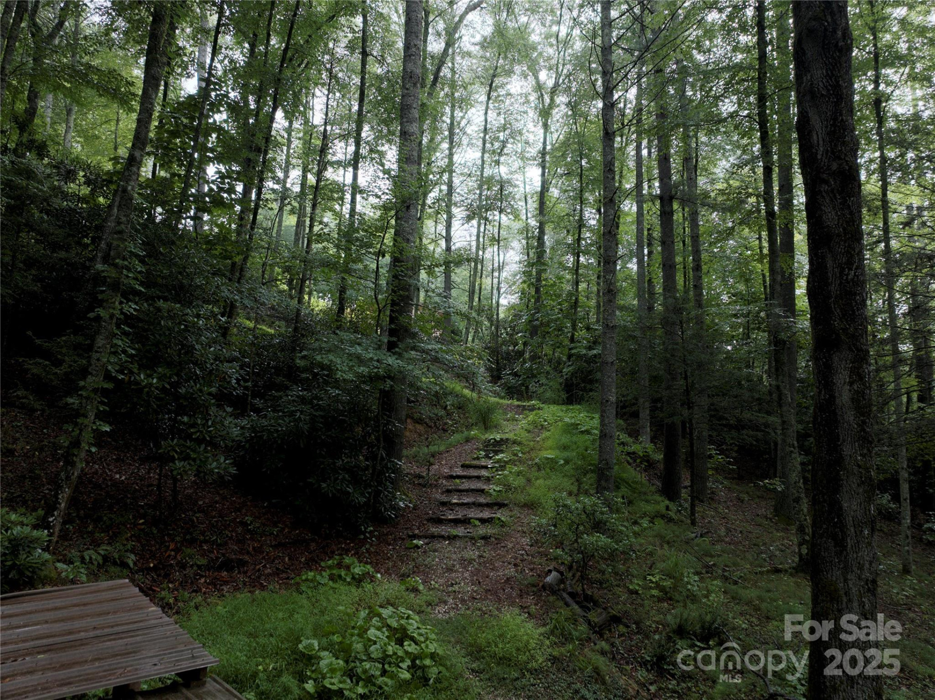 191 Pack Drive - Photo 2