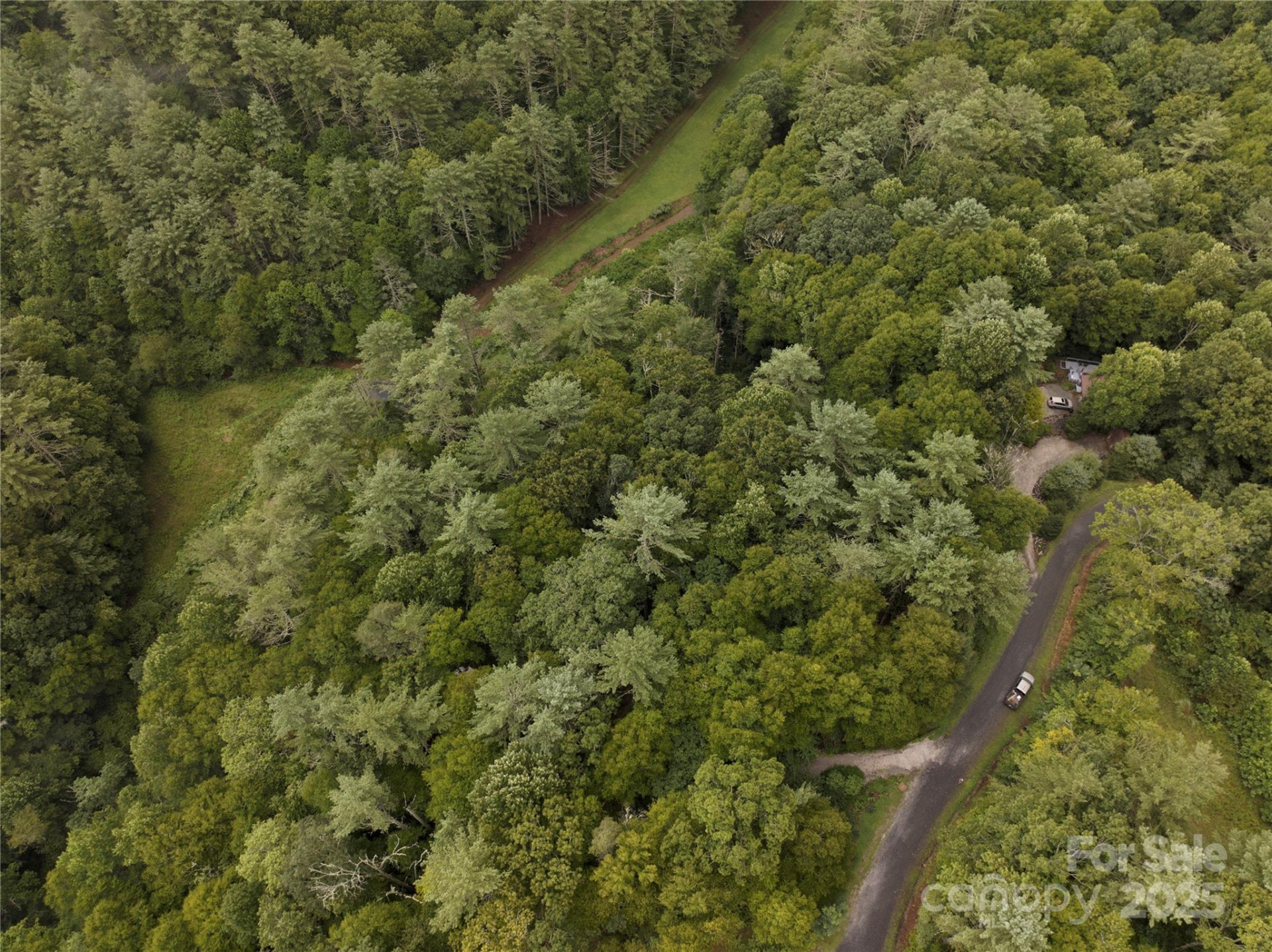 191 Pack Drive - Photo 3