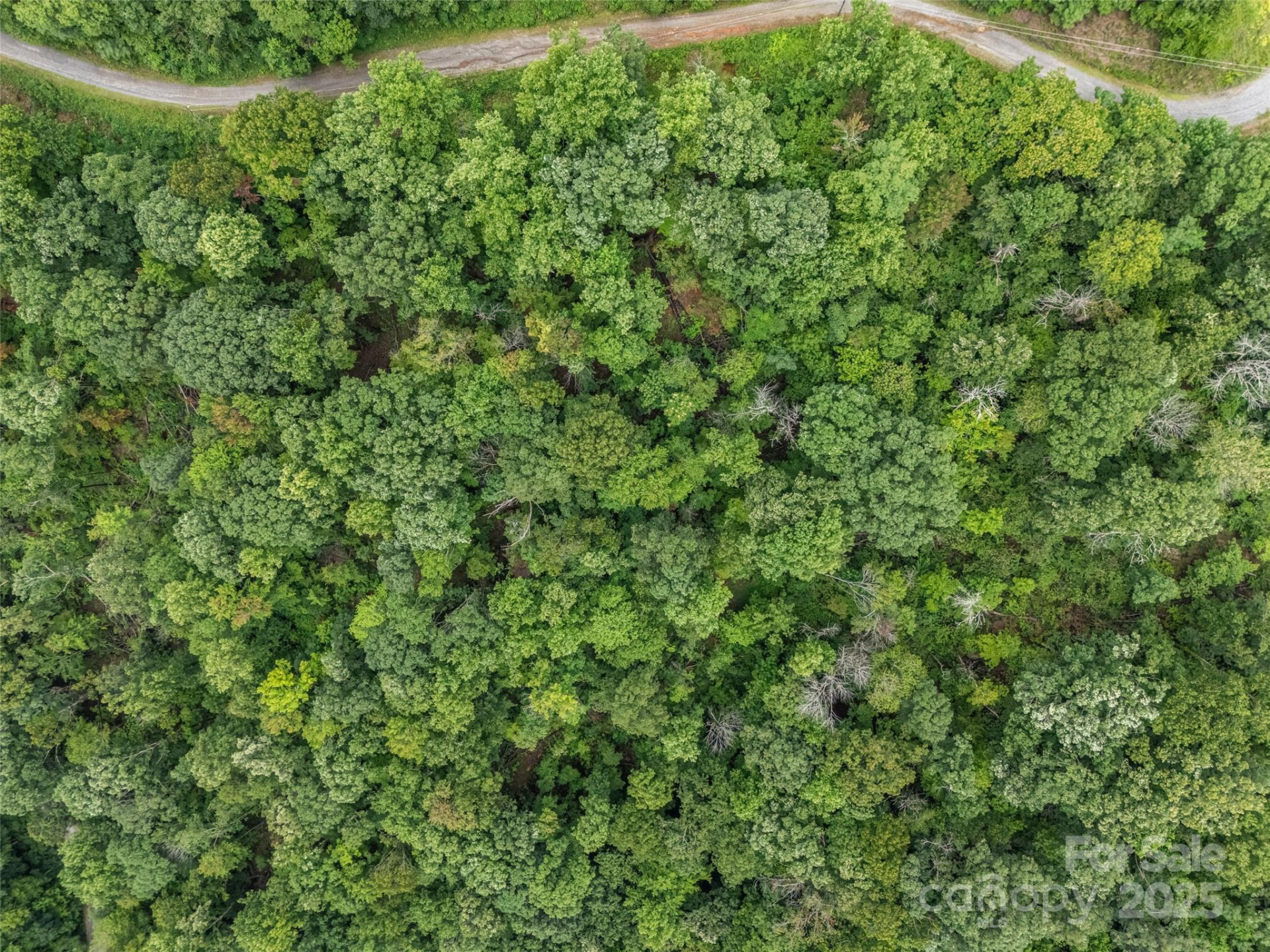 0 Peartree Drive #526