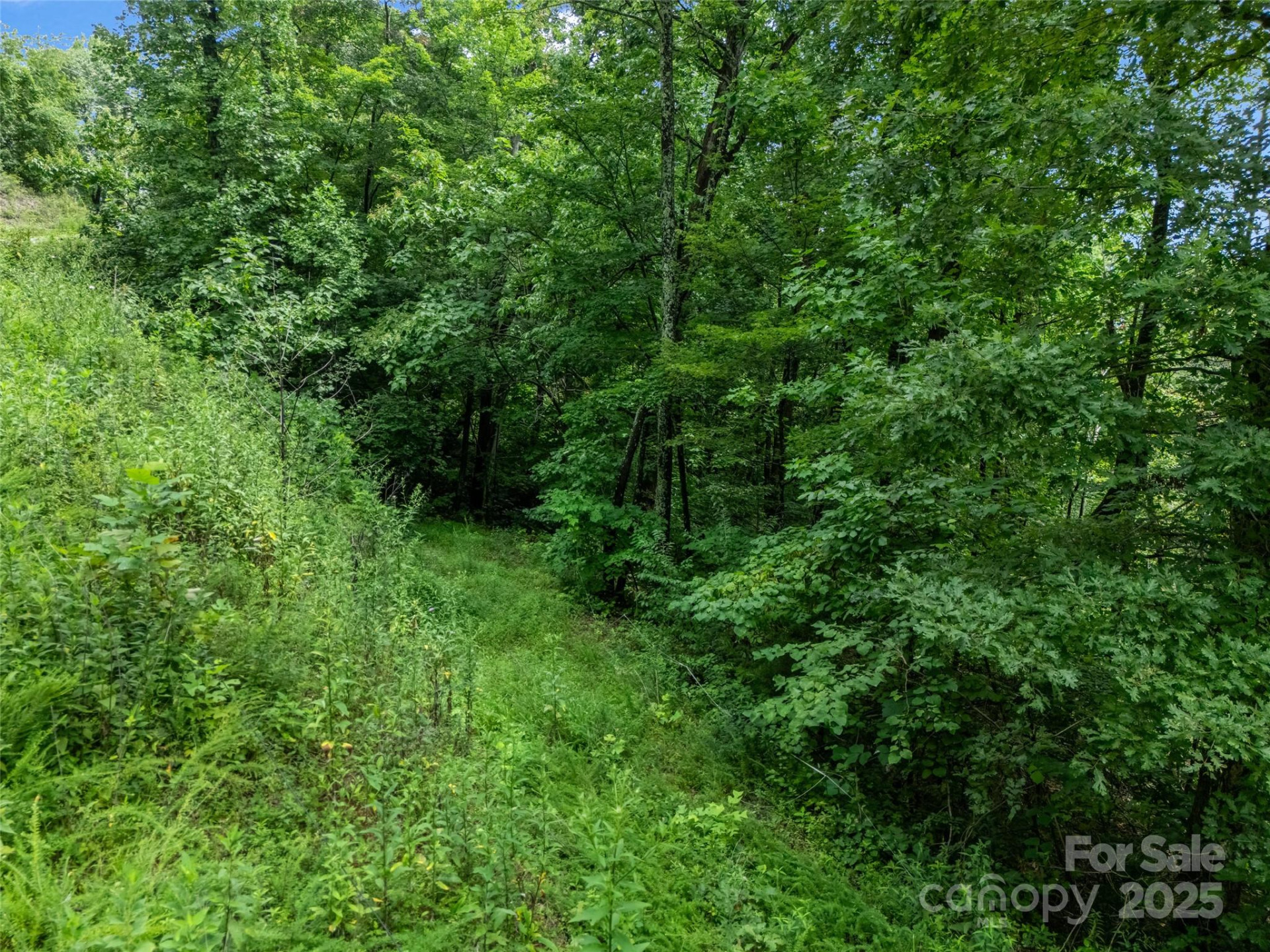 0 Peartree Drive #526 - Photo 11