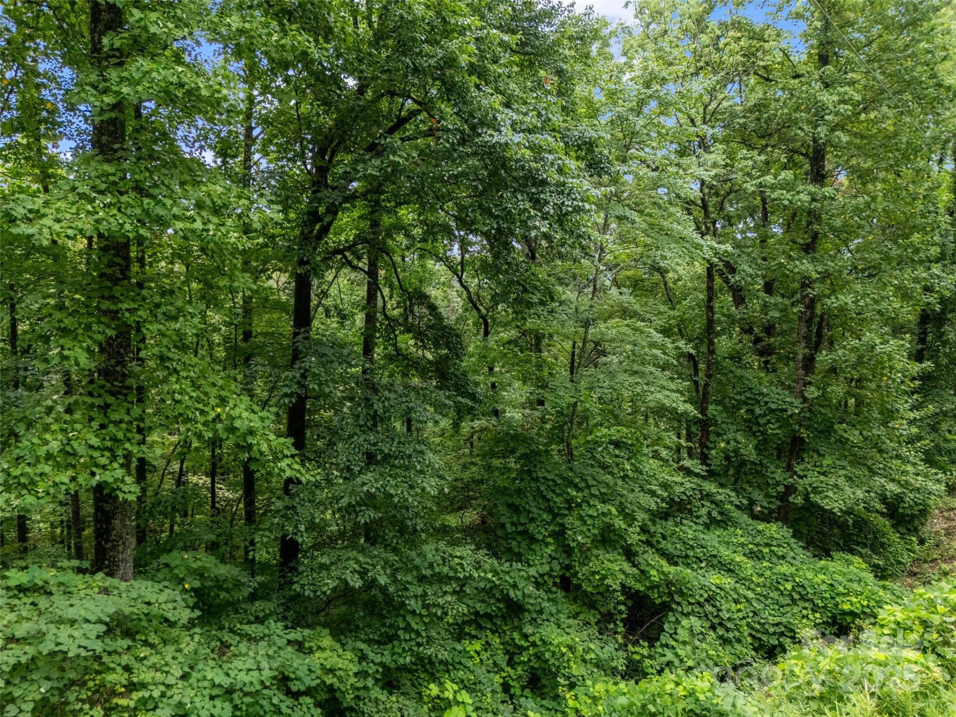 0 Peartree Drive #526 - Photo 13