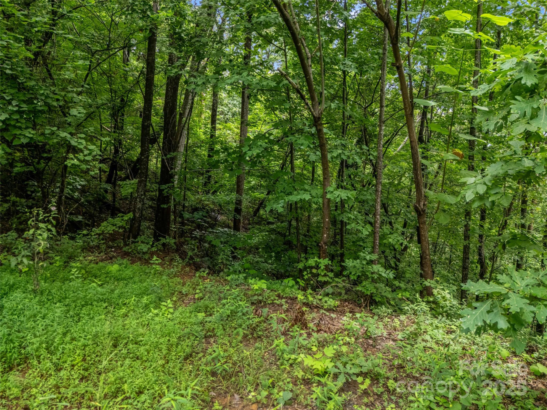 0 Peartree Drive #526 - Photo 14