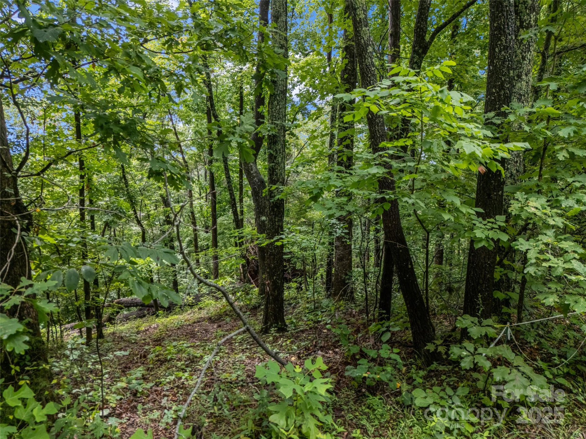 0 Peartree Drive #526 - Photo 15