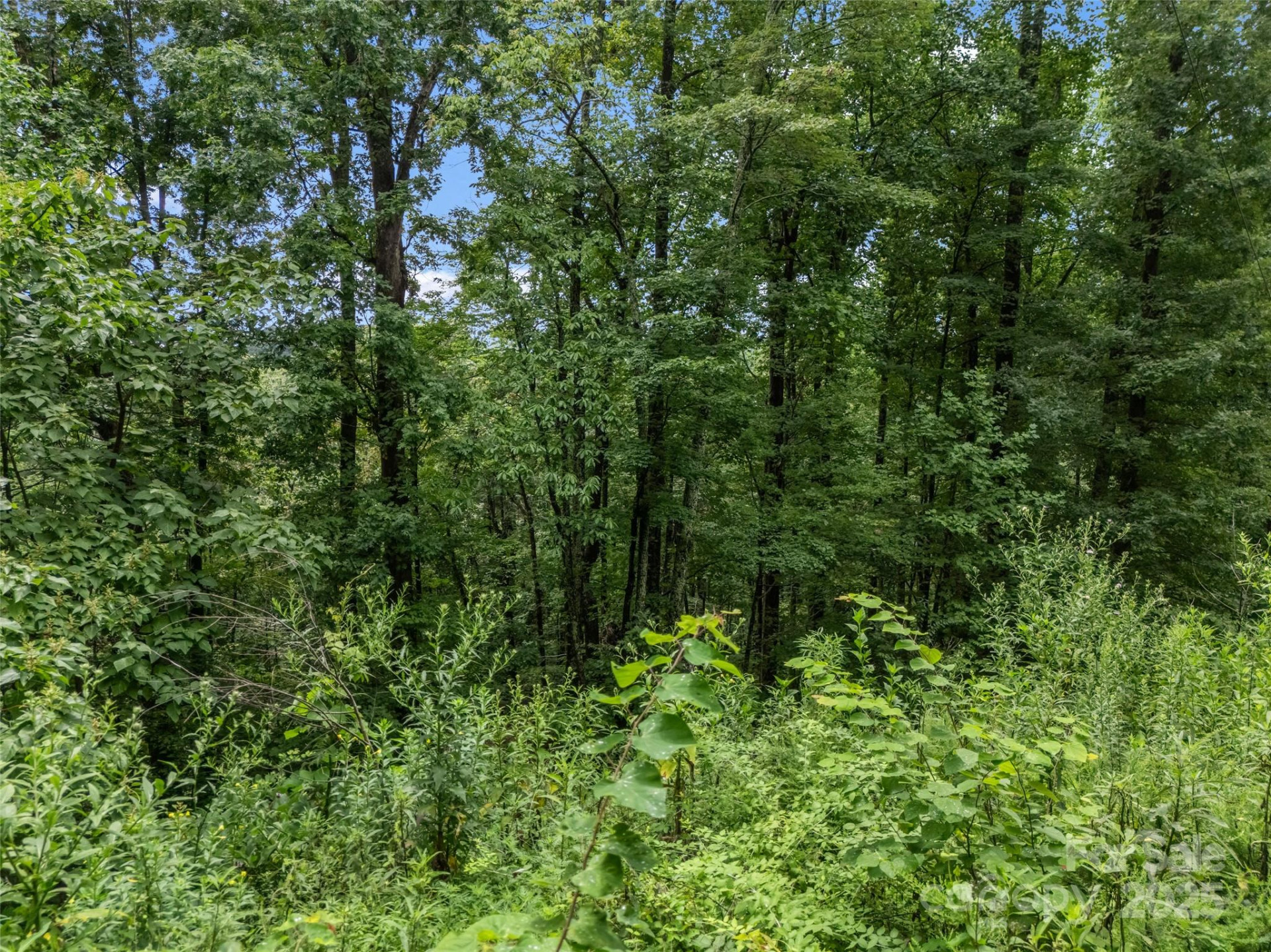 0 Peartree Drive #526 - Photo 16