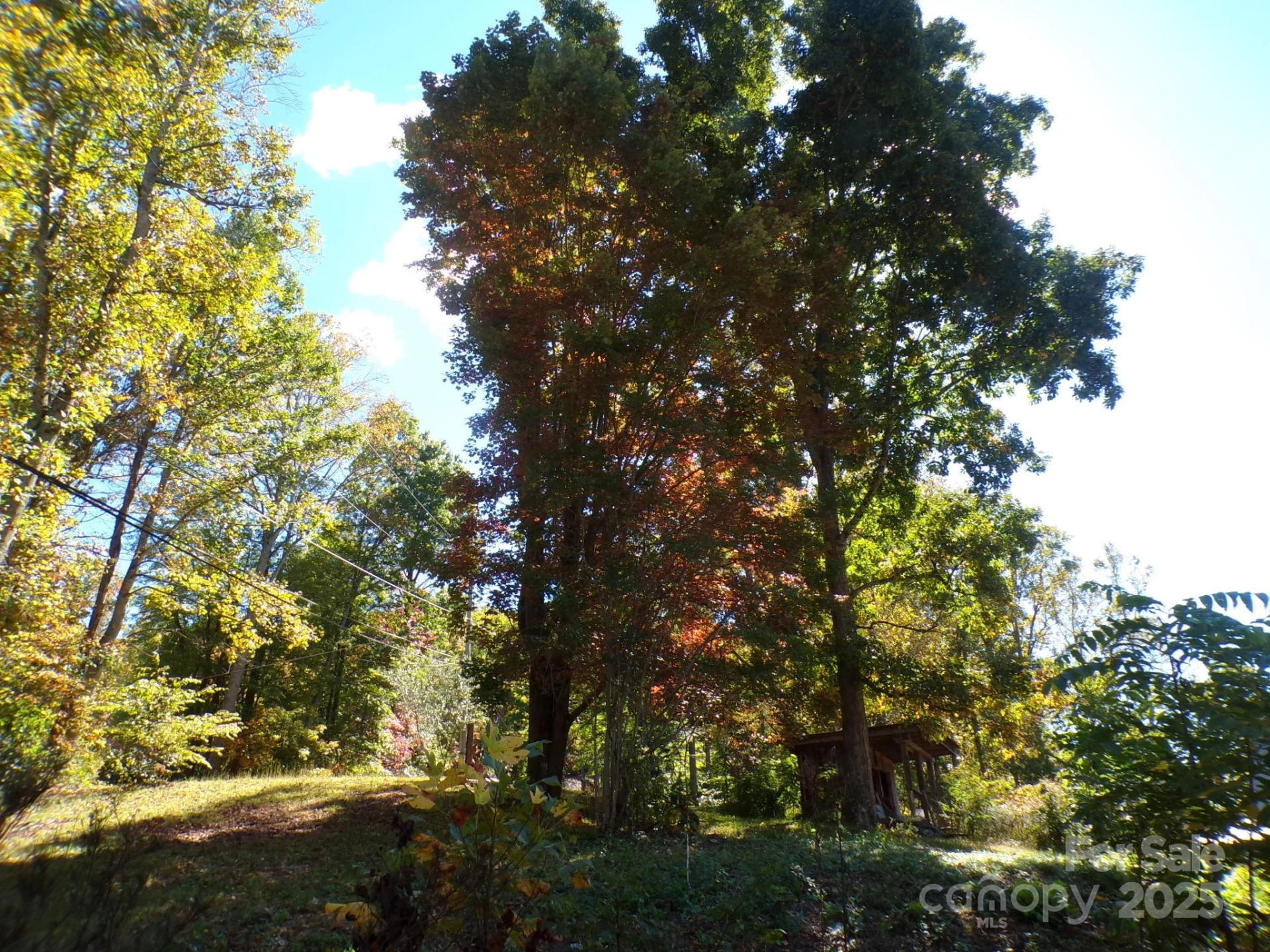 620 Hutch Mountain Road - Photo 22