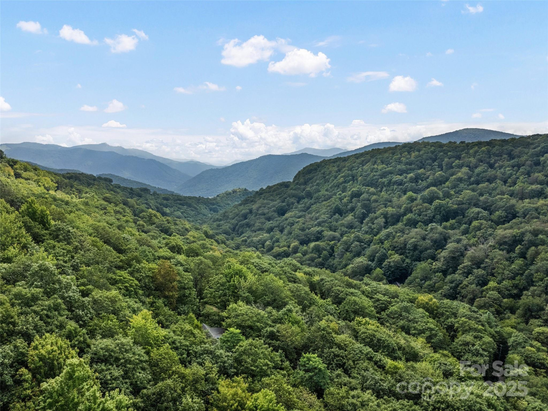 #3-E Sky Drive - Photo 4