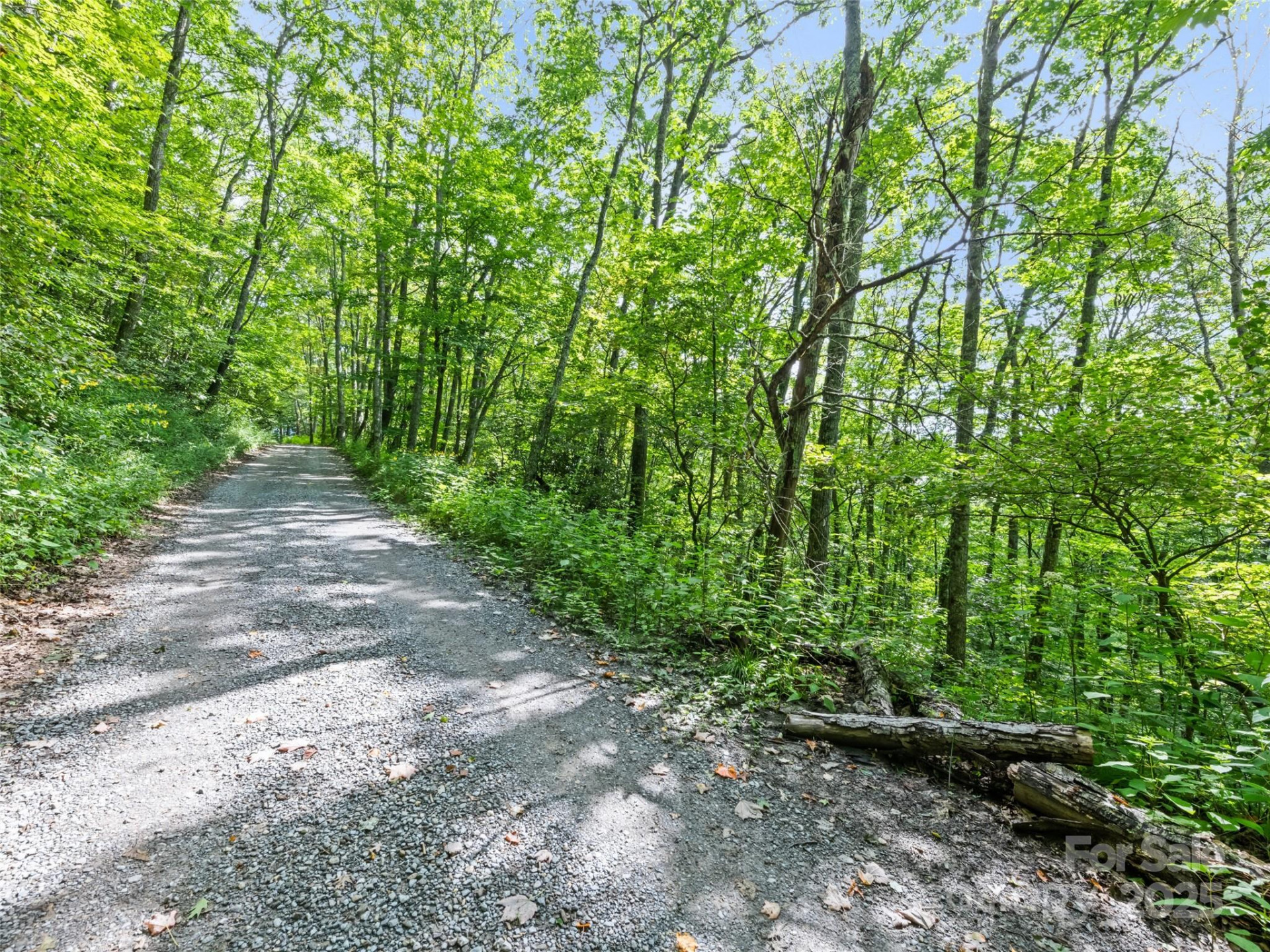 #3-E Sky Drive - Photo 9