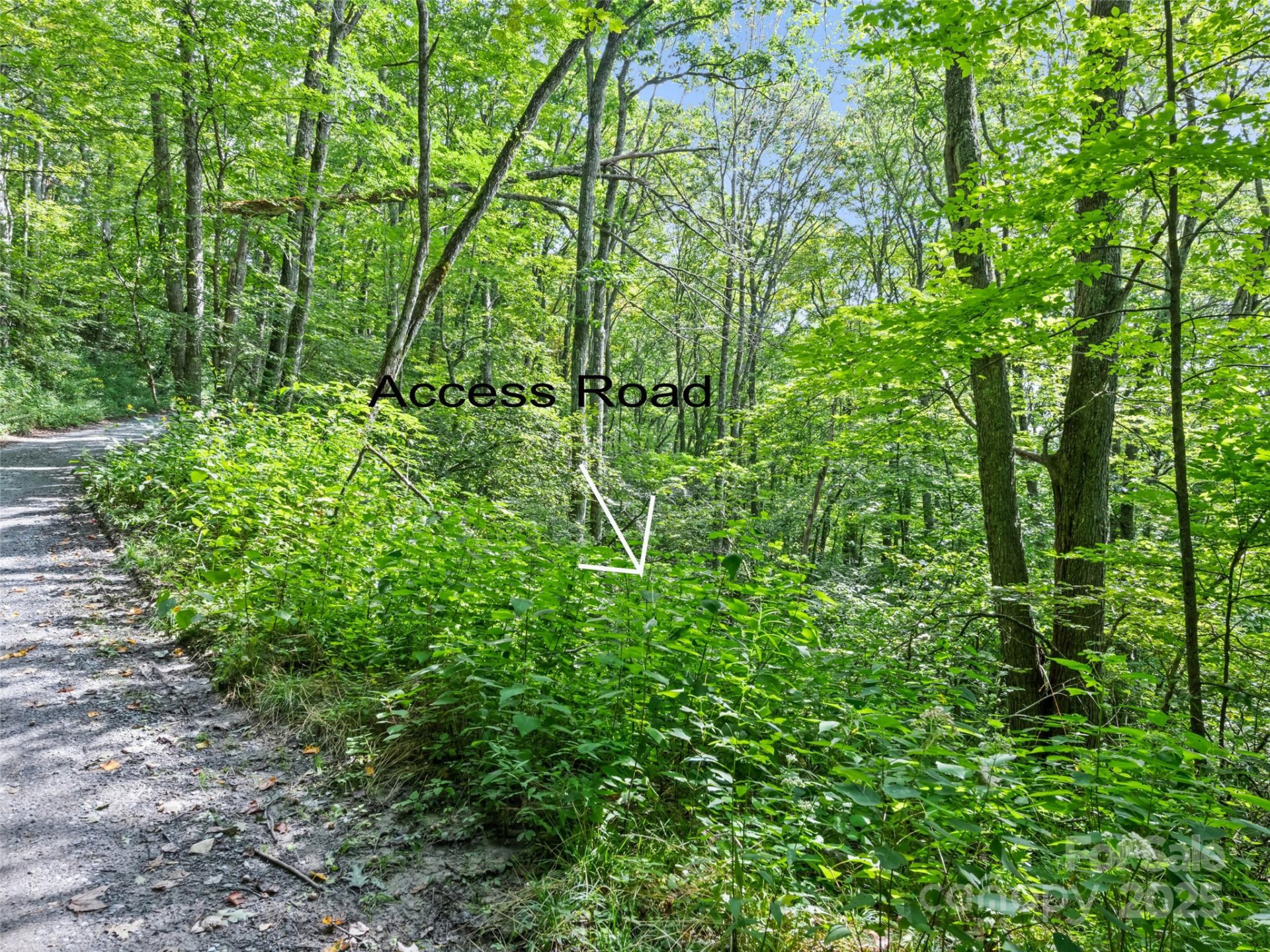 #3-E Sky Drive - Photo 10