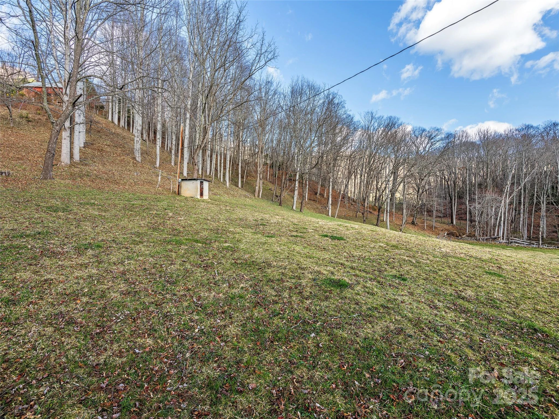 Tract 3 & 4 Badd Lane - Photo 2