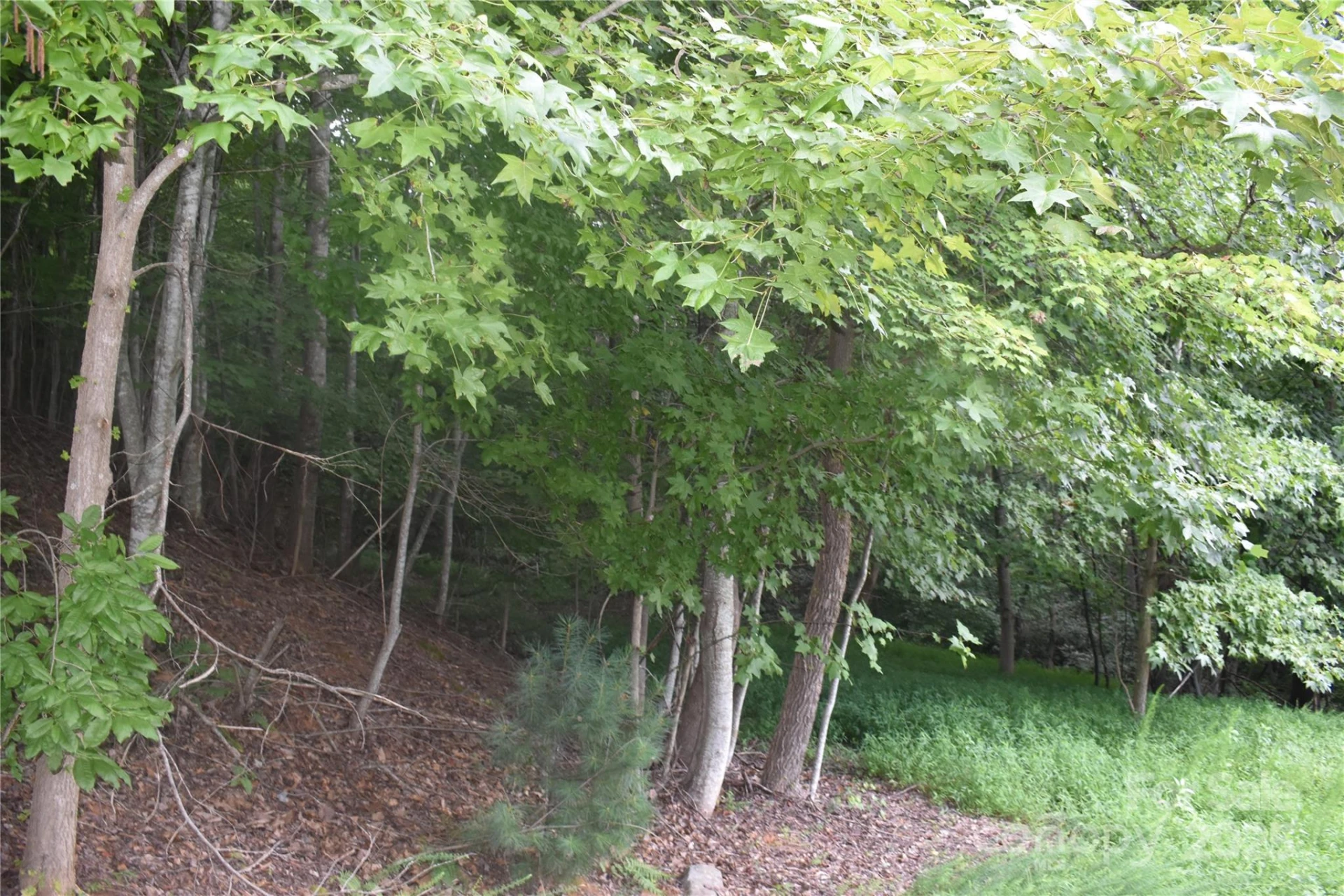 129 Captains Drive #221 - Photo 14