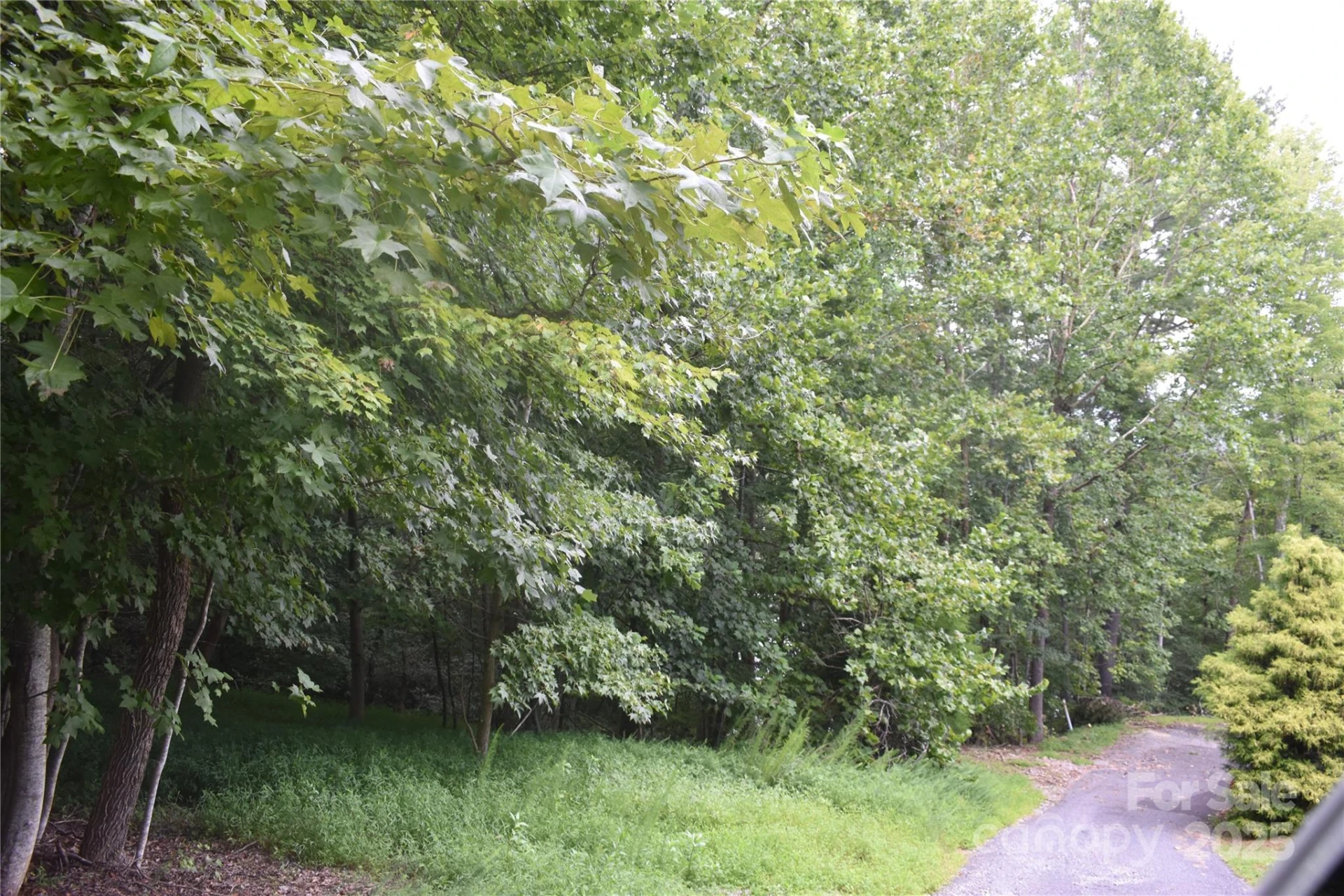 129 Captains Drive #221 - Photo 15
