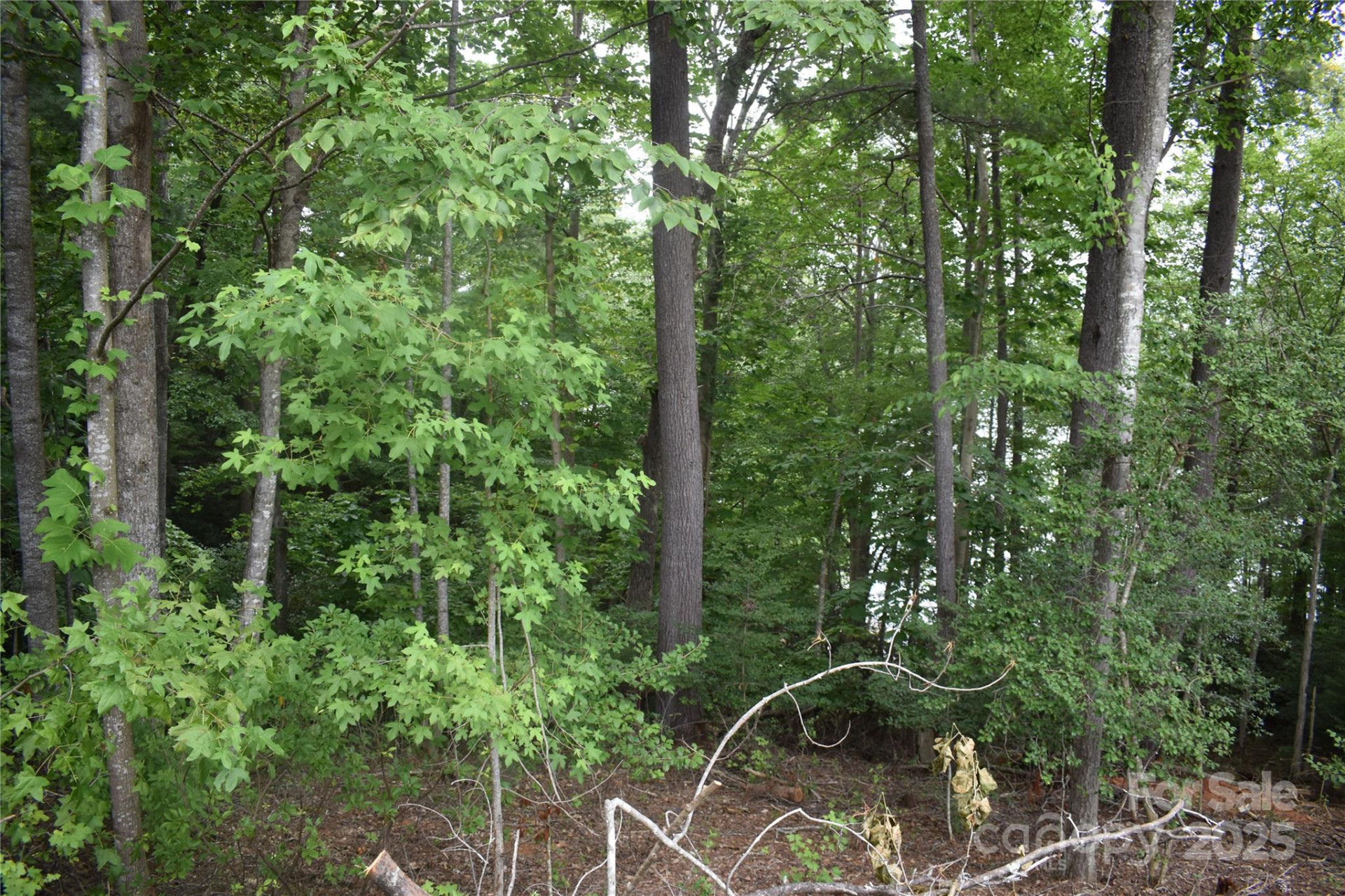 129 Captains Drive #221 - Photo 20