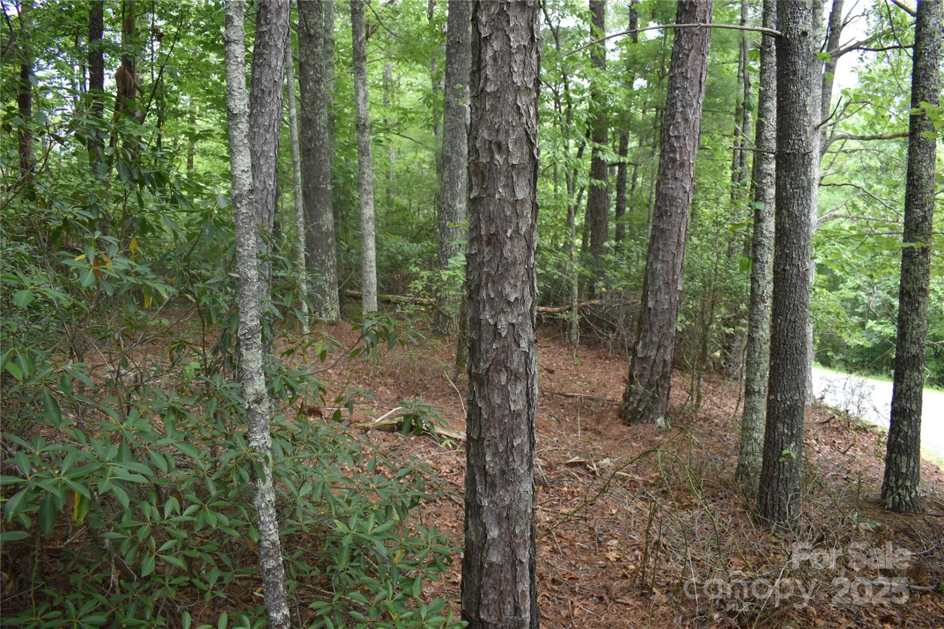 129 Captains Drive #221 - Photo 7