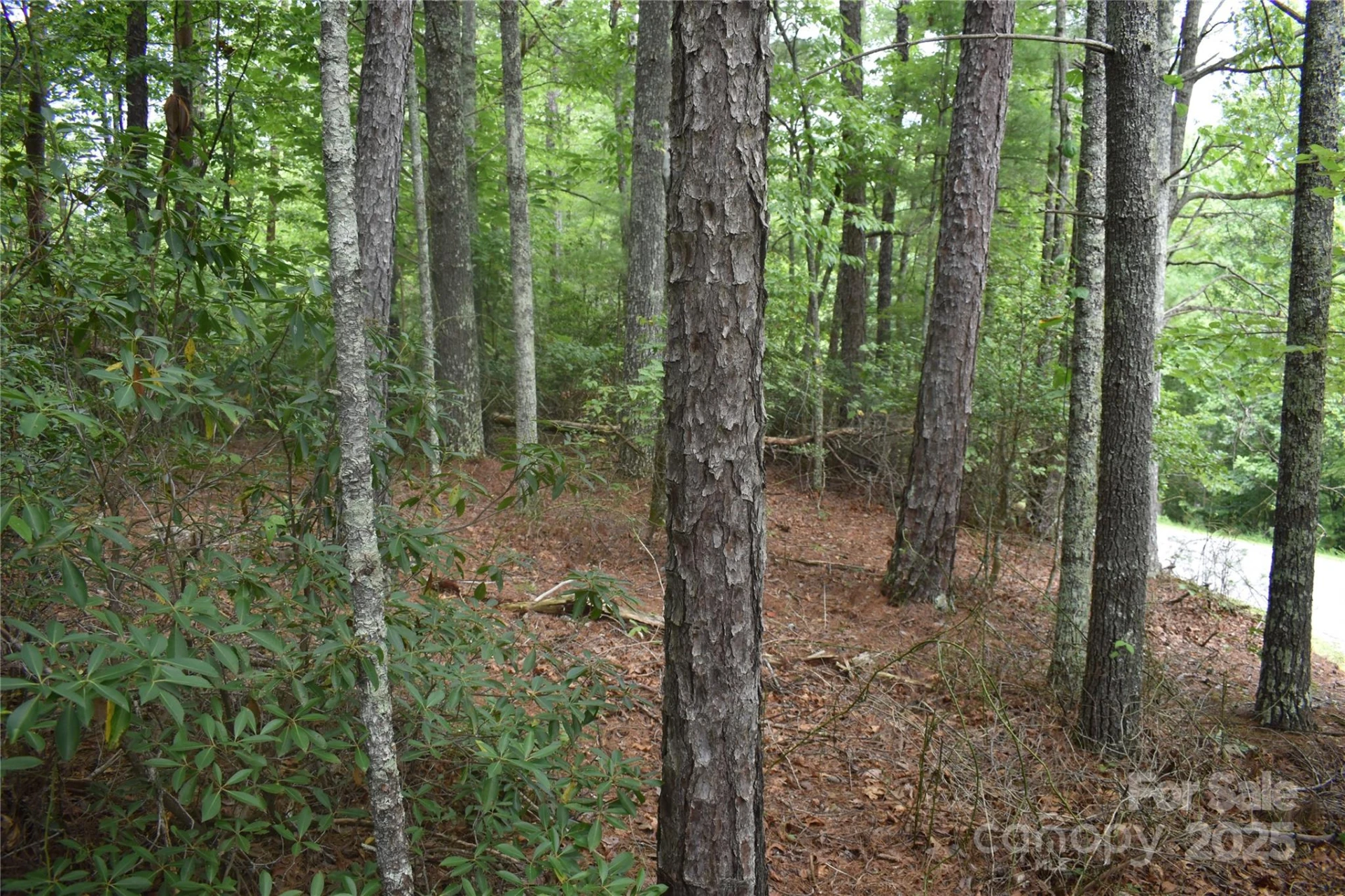 129 Captains Drive #221 - Photo 7