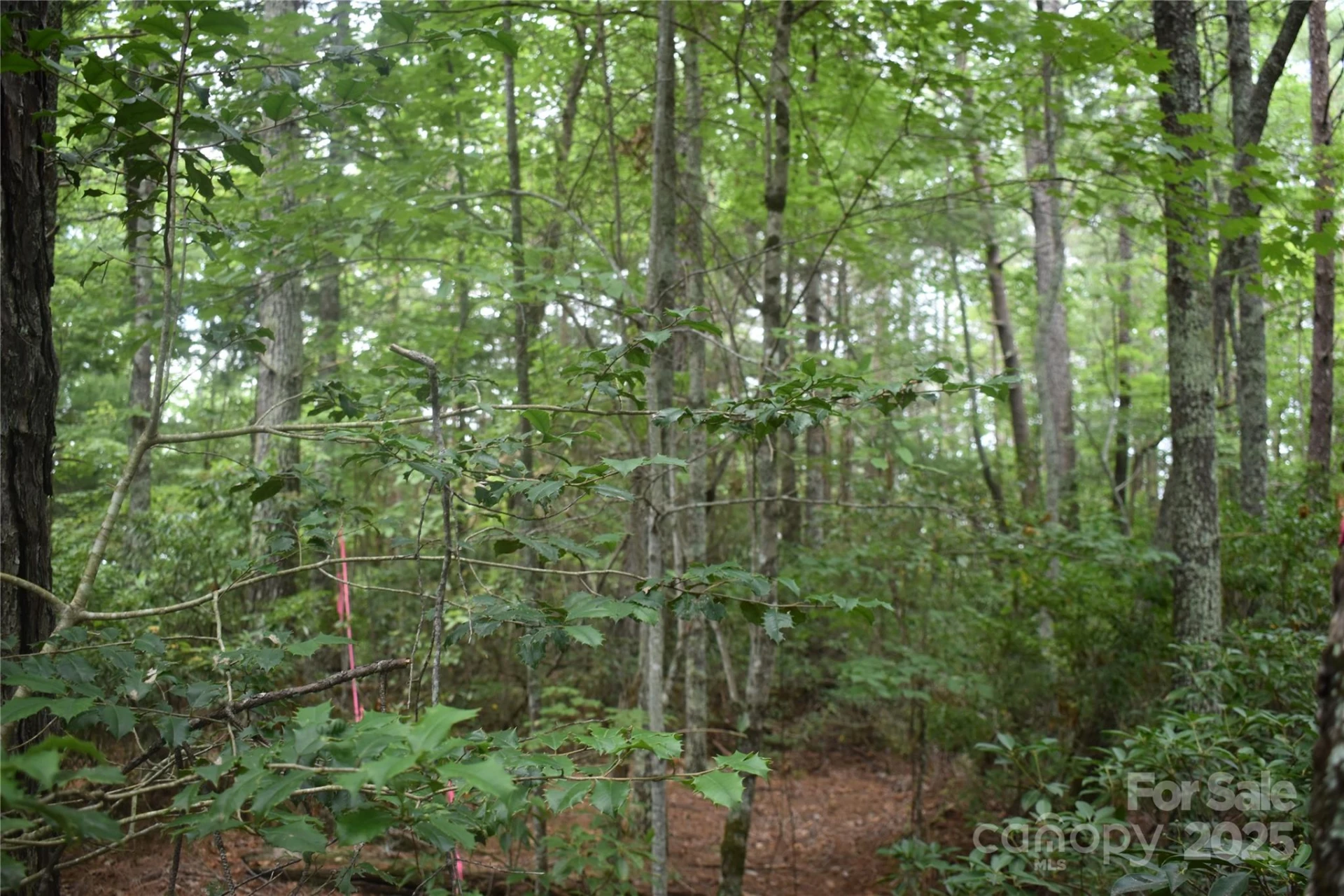 129 Captains Drive #221 - Photo 8