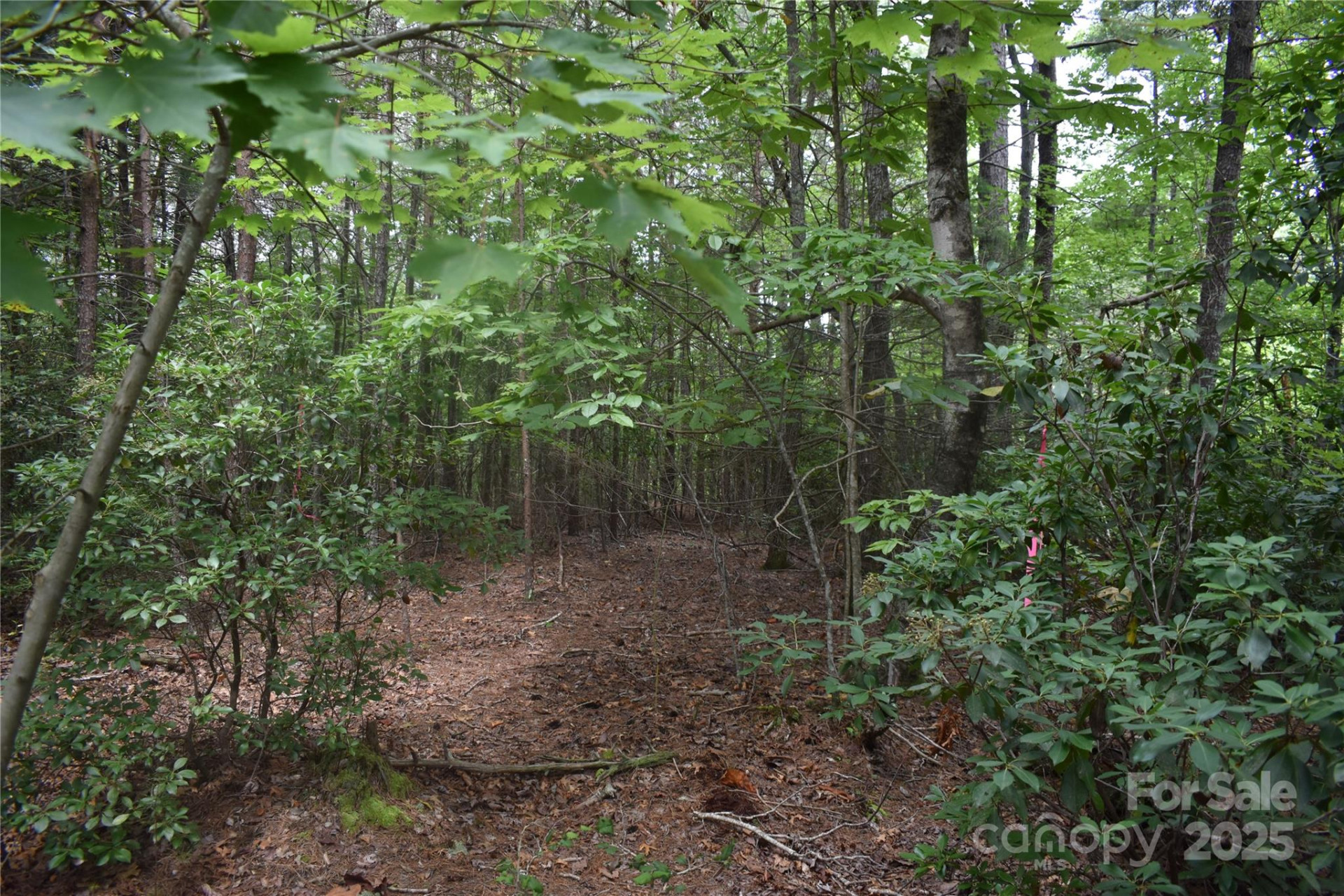 129 Captains Drive #221 - Photo 9