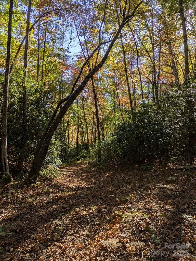 00 Sutton Branch Road - Photo 2