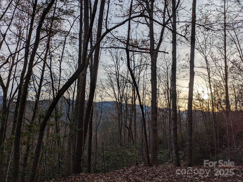 00 Sutton Branch Road - Photo 11