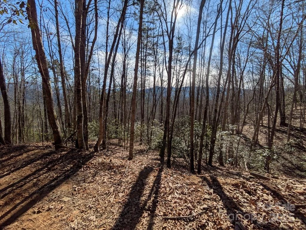 00 Sutton Branch Road - Photo 12