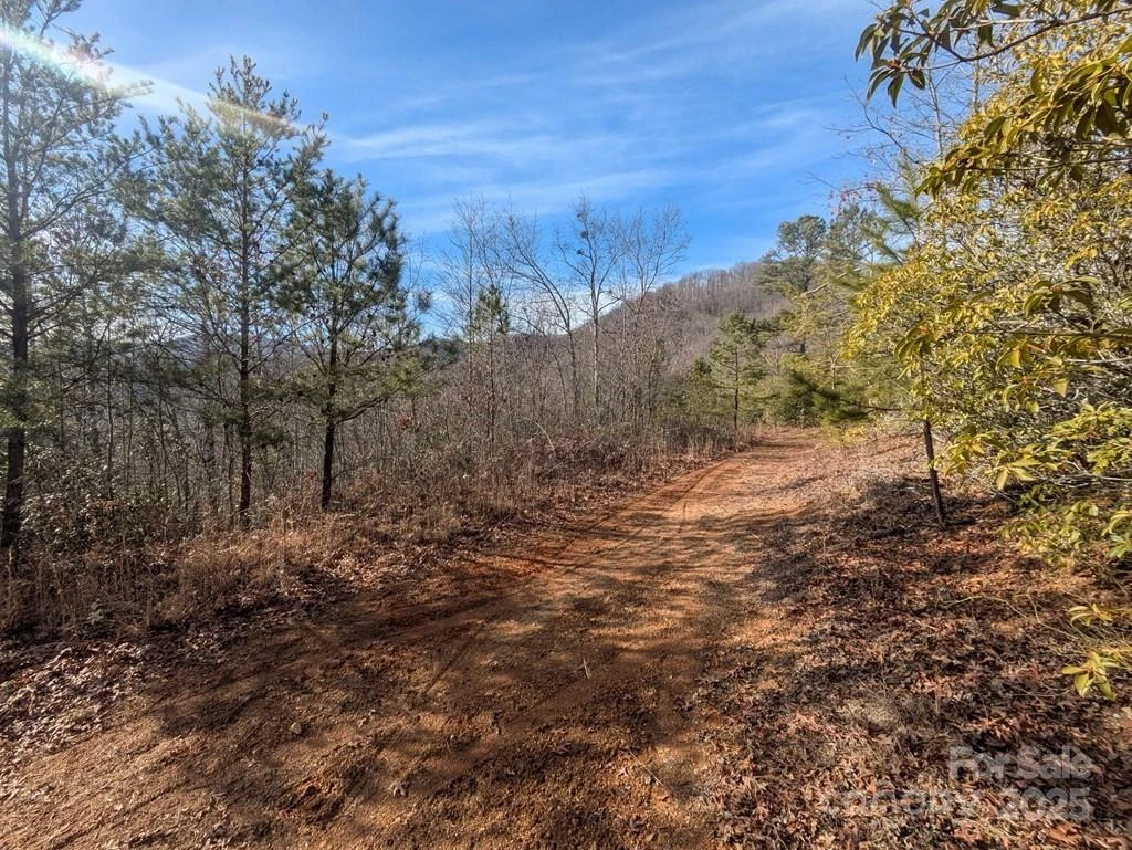 00 Sutton Branch Road - Photo 13