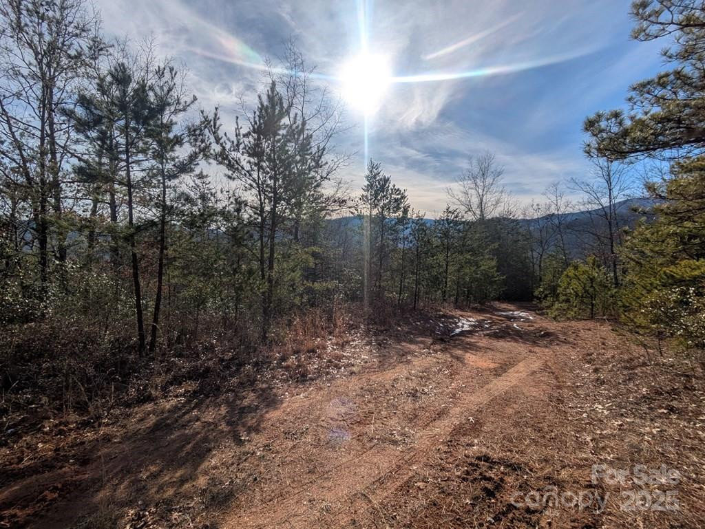 00 Sutton Branch Road - Photo 14