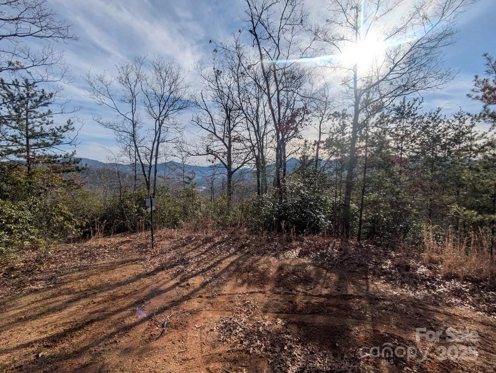 00 Sutton Branch Road - Photo 15