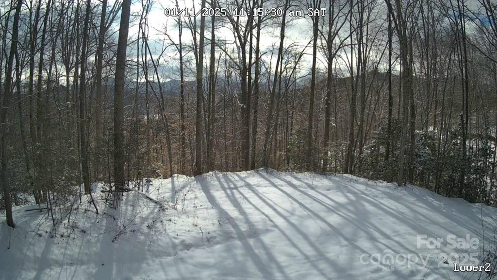 00 Sutton Branch Road - Photo 16