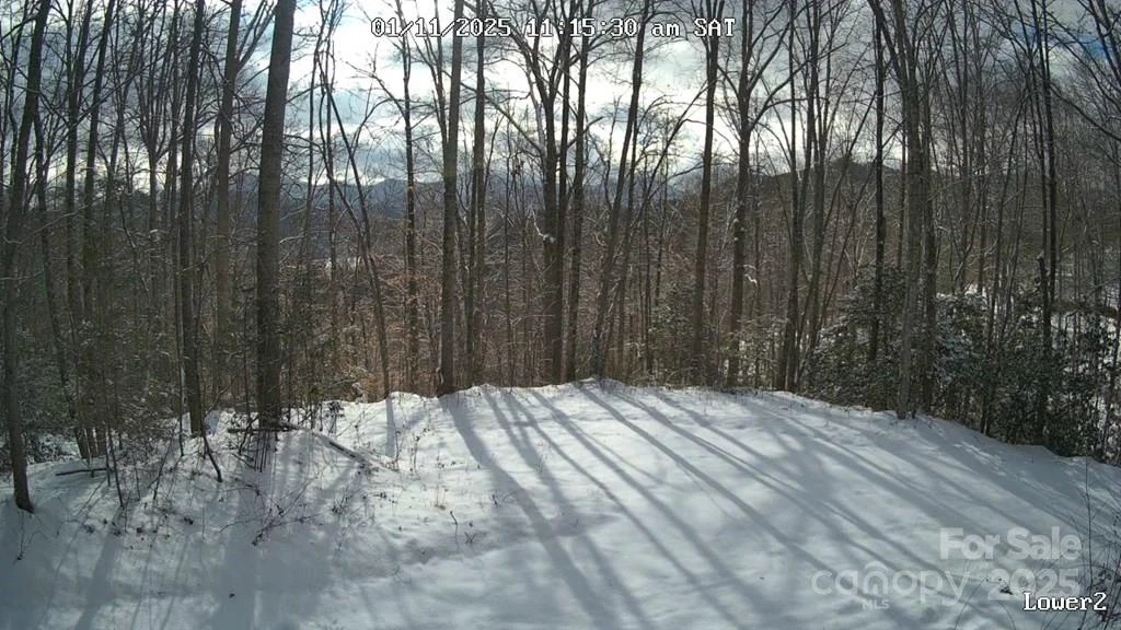 00 Sutton Branch Road - Photo 16