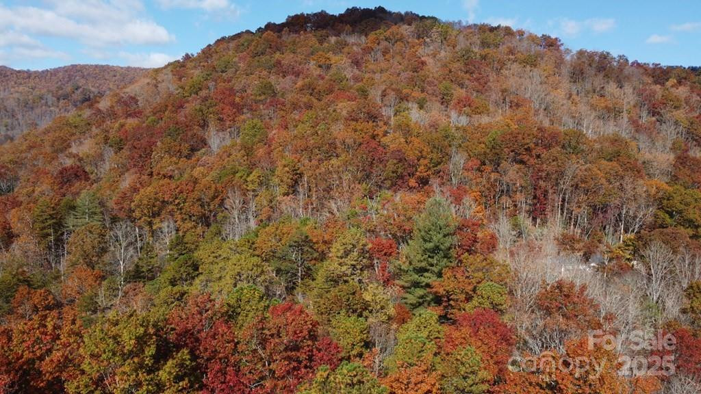 00 Sutton Branch Road - Photo 19