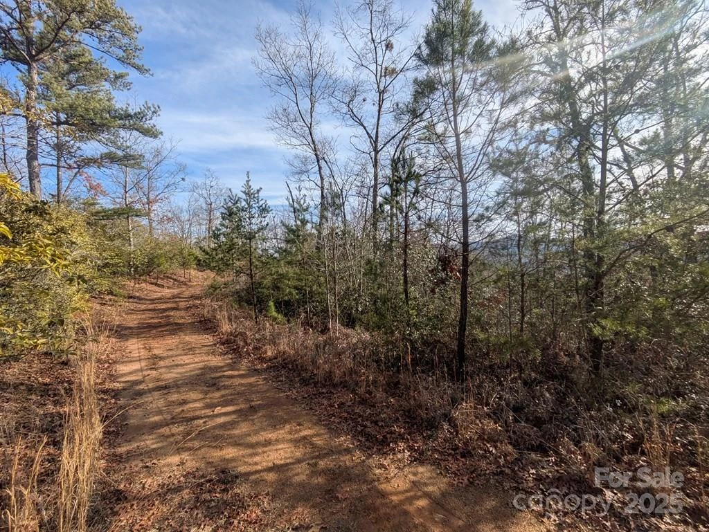 00 Sutton Branch Road - Photo 3