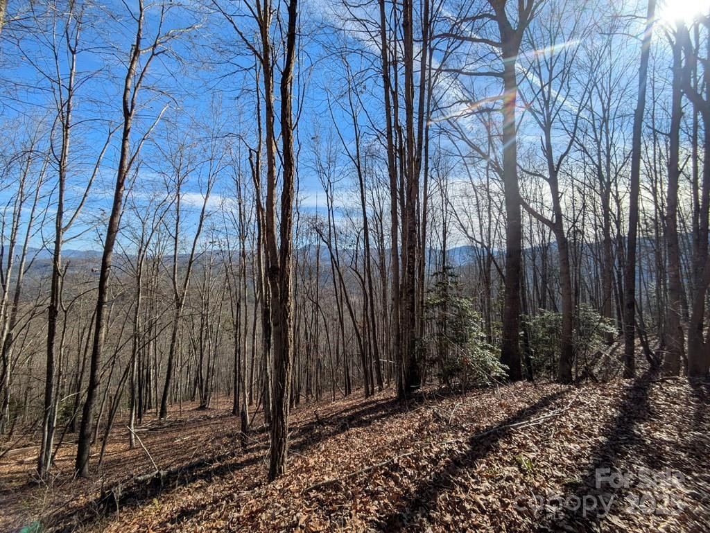 00 Sutton Branch Road - Photo 4