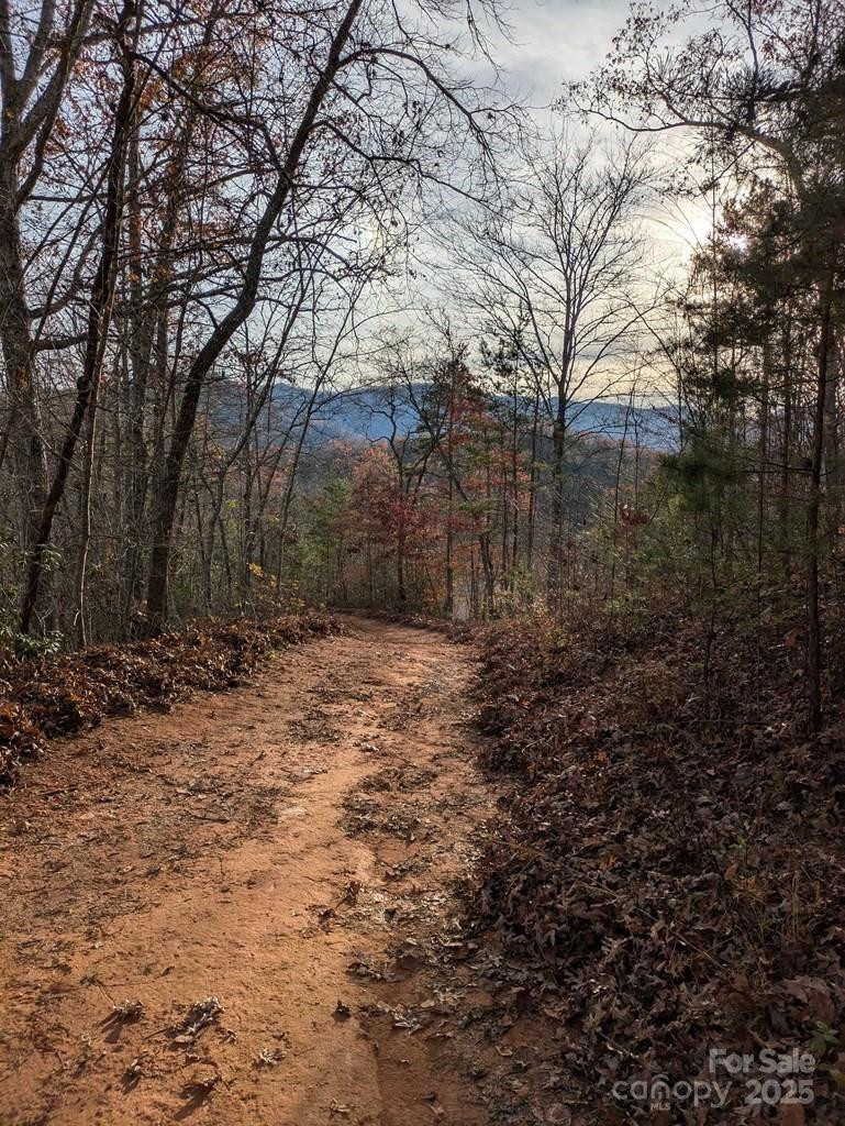 00 Sutton Branch Road - Photo 5