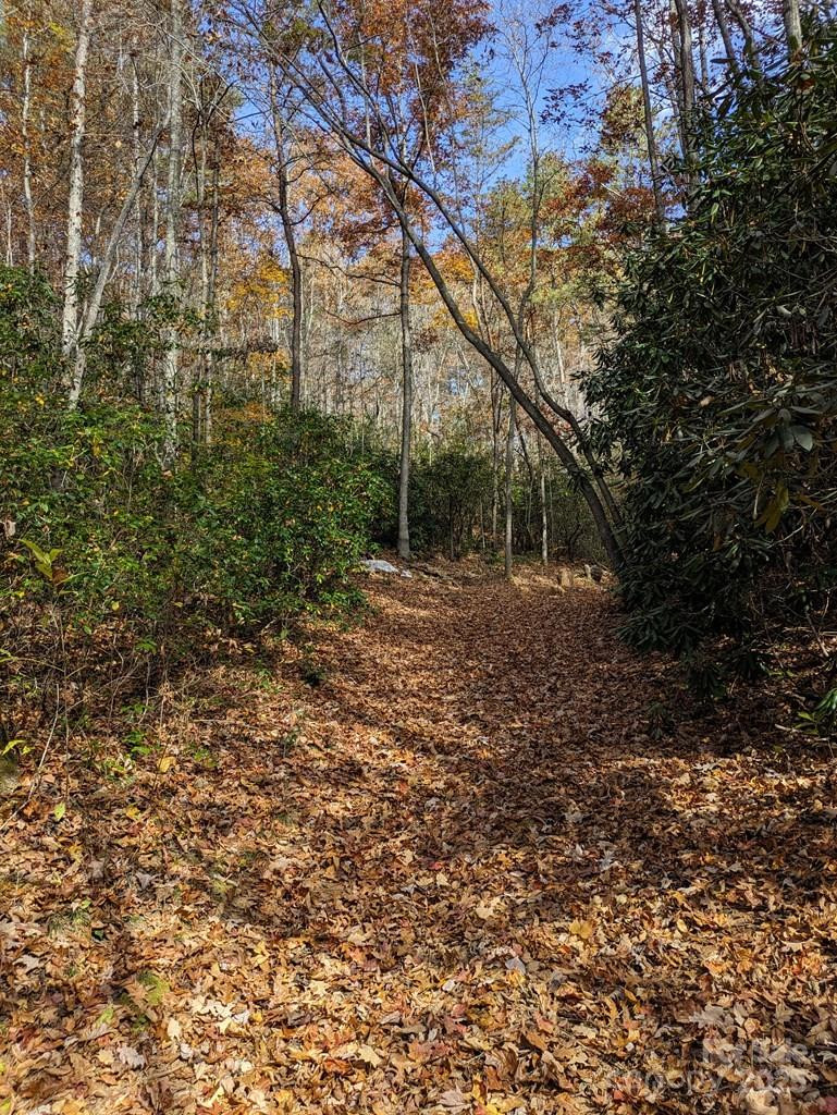 00 Sutton Branch Road - Photo 6