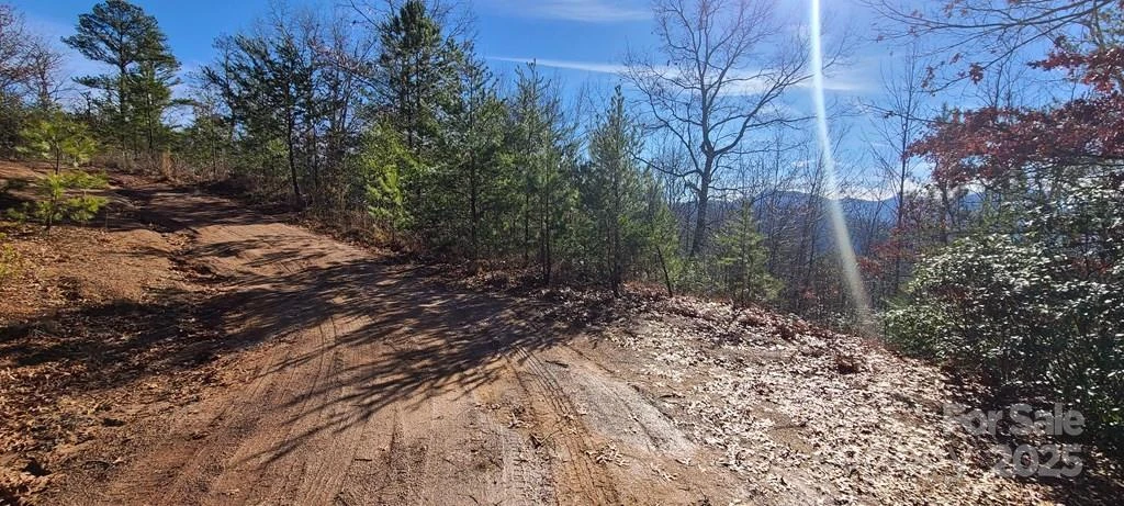 00 Sutton Branch Road - Photo 8
