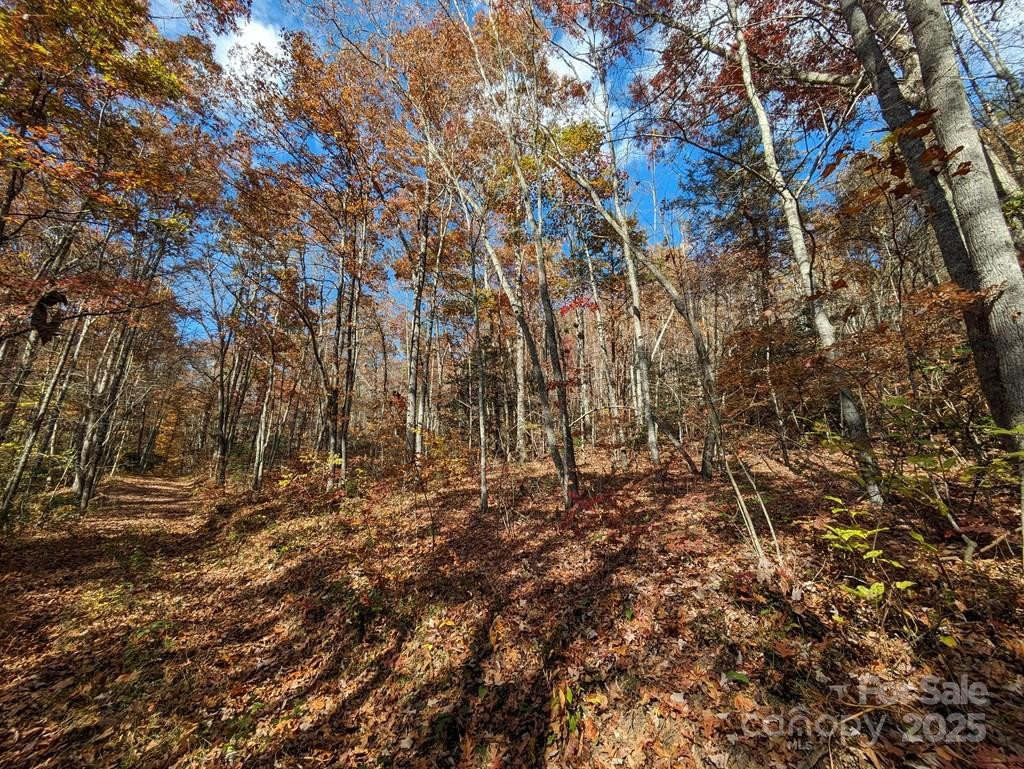 00 Sutton Branch Road - Photo 9