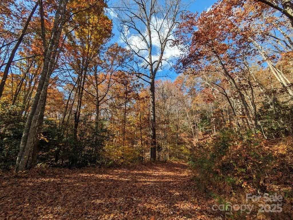 00 Sutton Branch Road - Photo 10