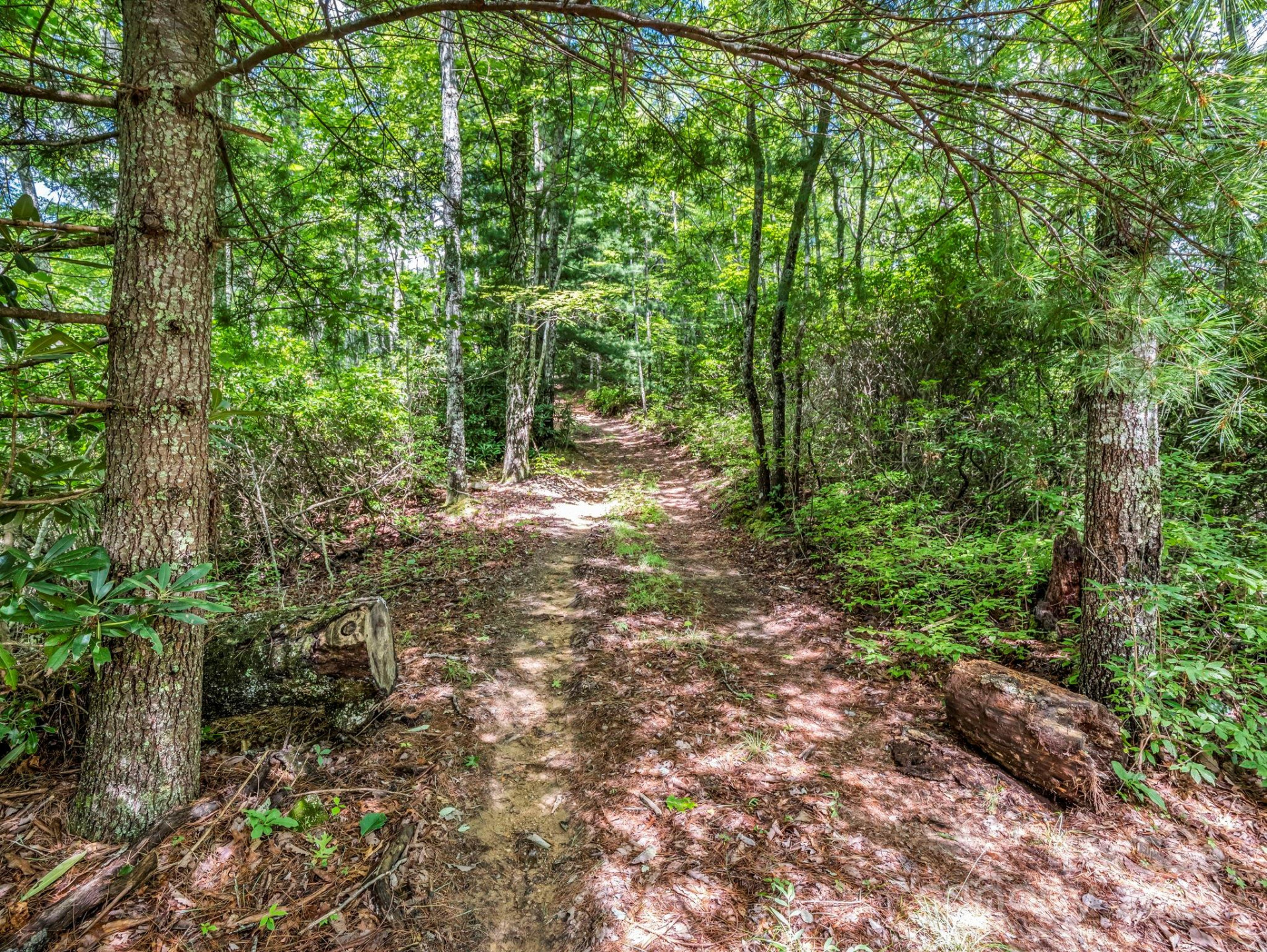 TBD Frozen Creek Road - Photo 2