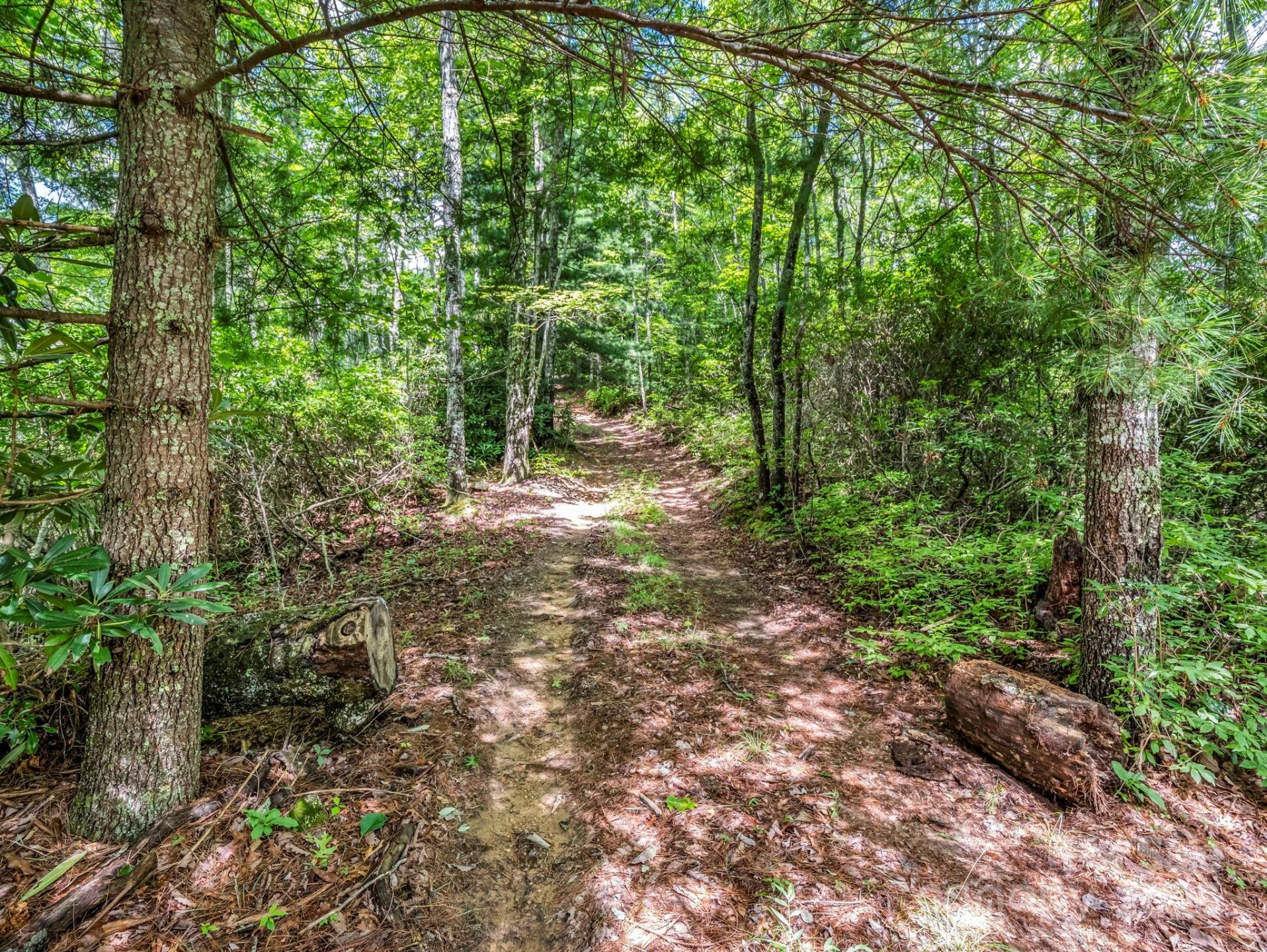 TBD Frozen Creek Road - Photo 2