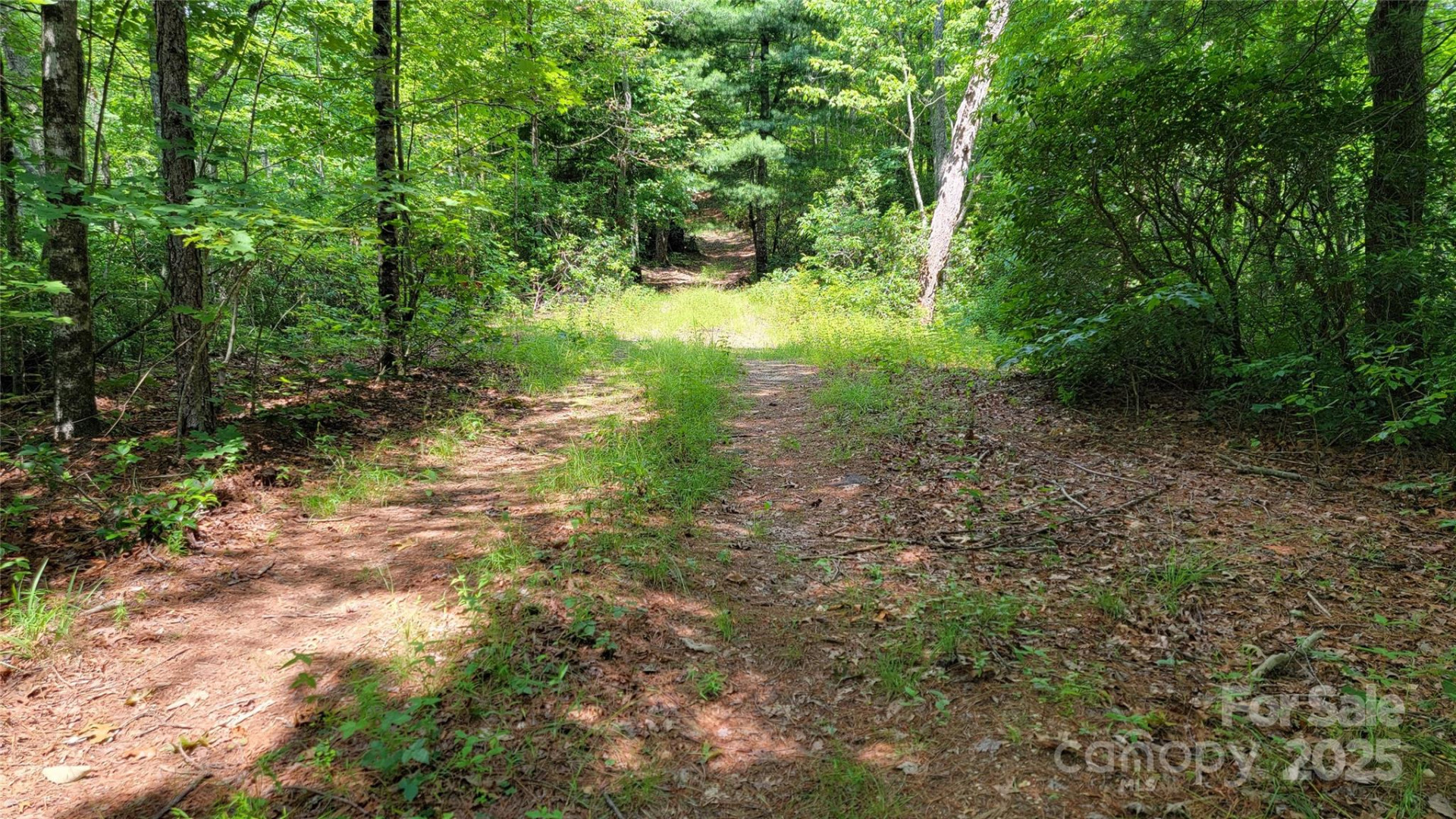 TBD Frozen Creek Road - Photo 21